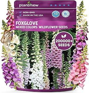 Foxglove Seeds Perennial – Mixed Colors, 200,000+ Seeds Bulk Pack for Easy-to-Grow Home Gardening, Tall Spire Blooms for Garden Borders, Attract Hummingbirds & Bees