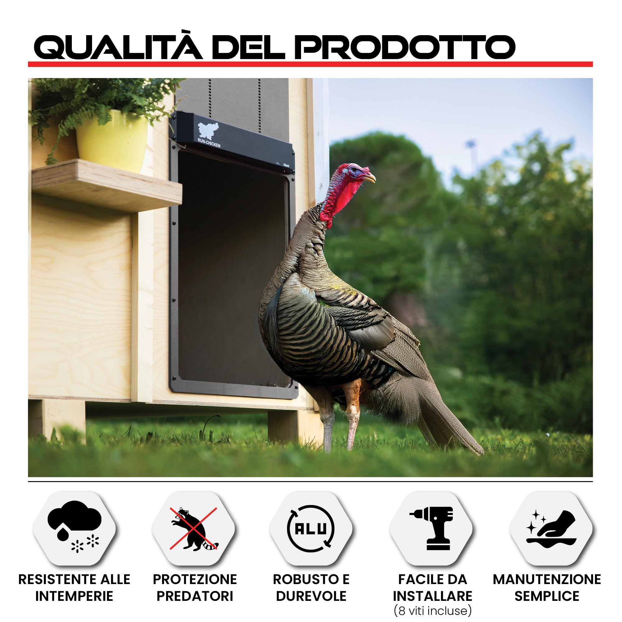 Porta automatica Run-Chicken GIANT grigia per grandi volatili. Apertura 36 x 50 cm, alluminio resistente alle intemperie. Timer o GPS e sistema di sicurezza anti-schiacciamento.