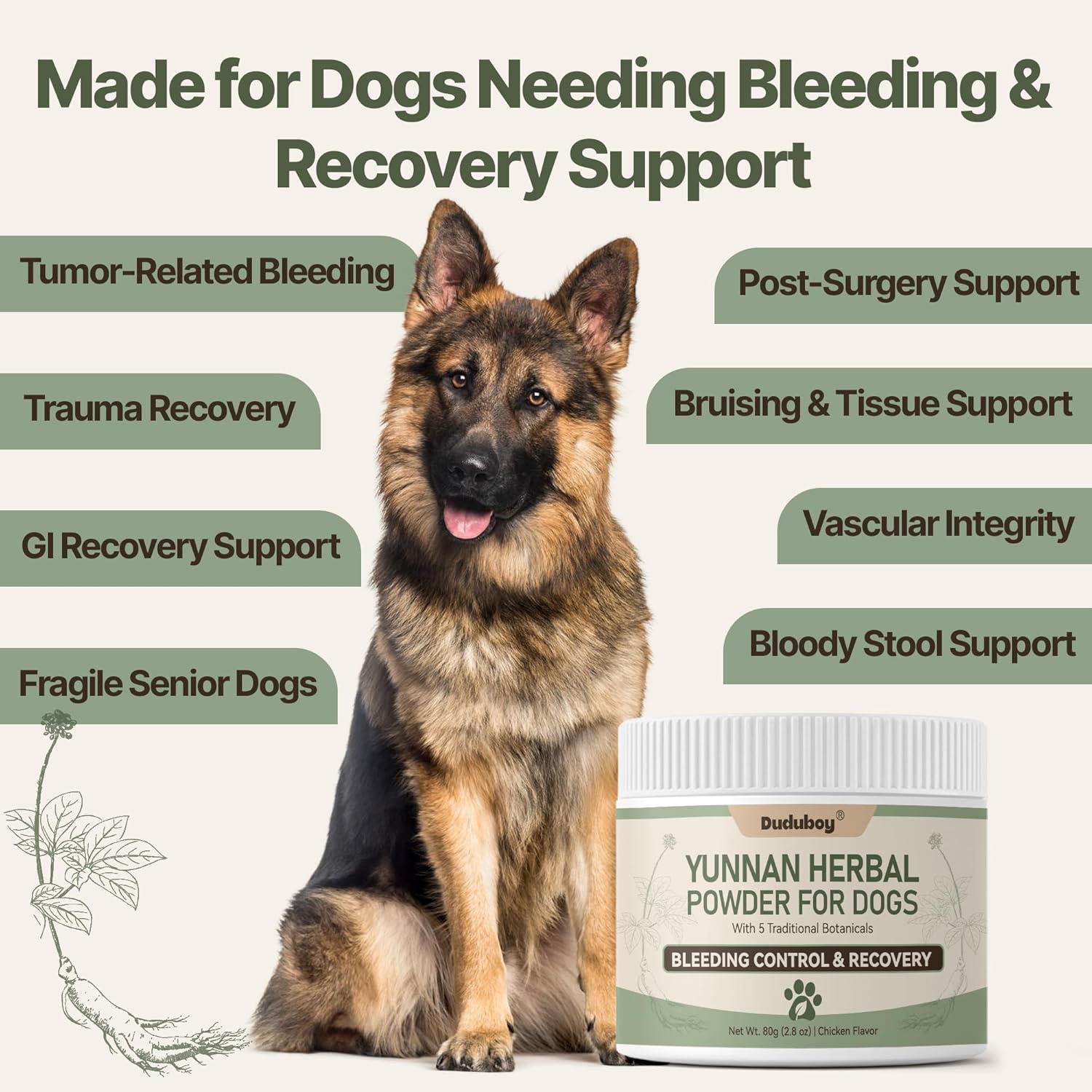 Yunnan Sanqi Powder for Dogs, Natural Herbal Blood Support for Hemangiosarcoma, Hemoabdomen, Pericardial Effusion, Ulcer-Related Bleeding, Bloody Stools, Recovery Support, Quick Stop Bleeding for Dog