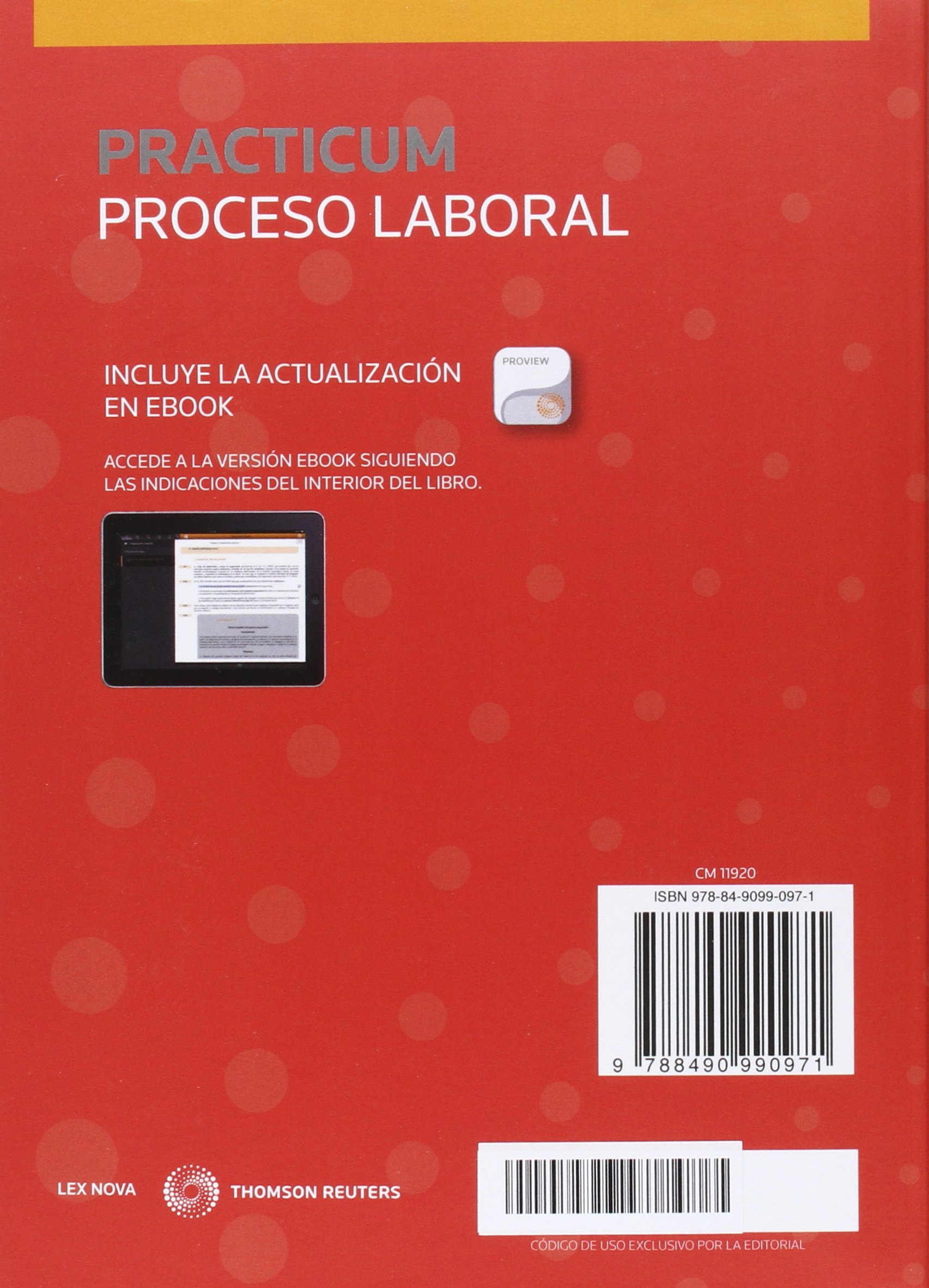 Prácticum Proceso Laboral 2016