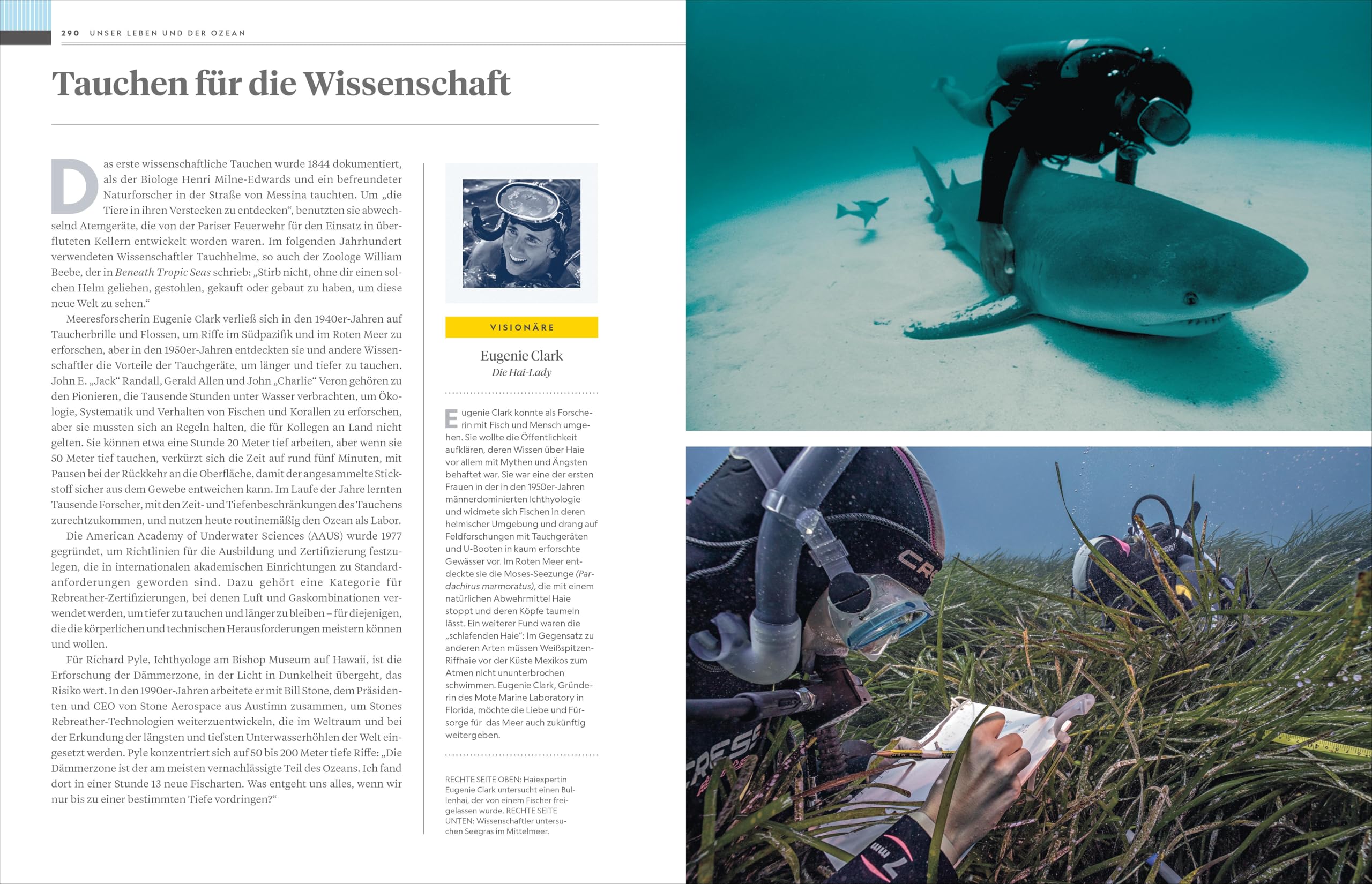 National Geographic Buch der OZEANE: Eine Liebeserklärung an den schönsten Lebensraum der Erde.