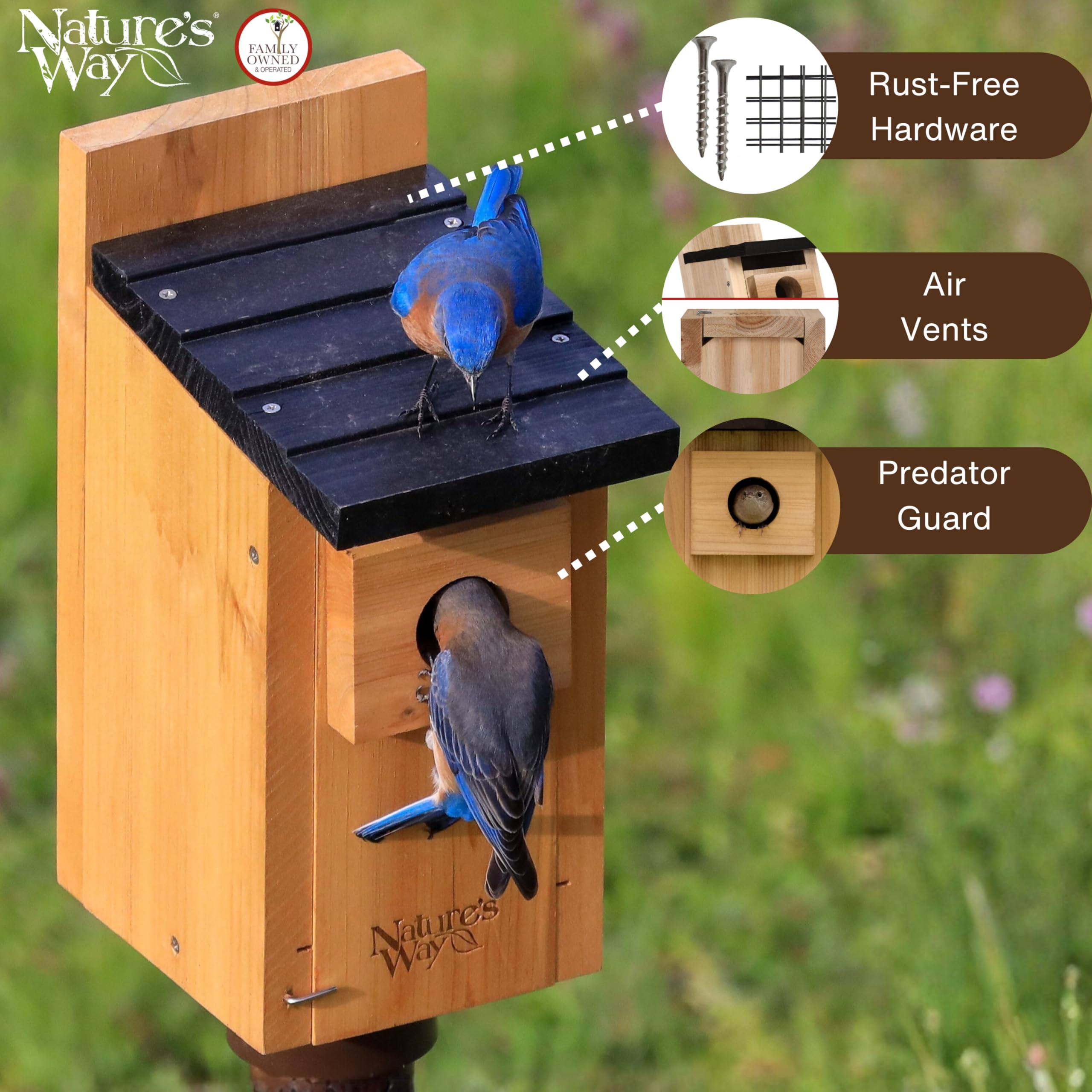Amazon.com : Wild Wings WWCH3 Cedar Blue Bird Box House : Pet Supplies