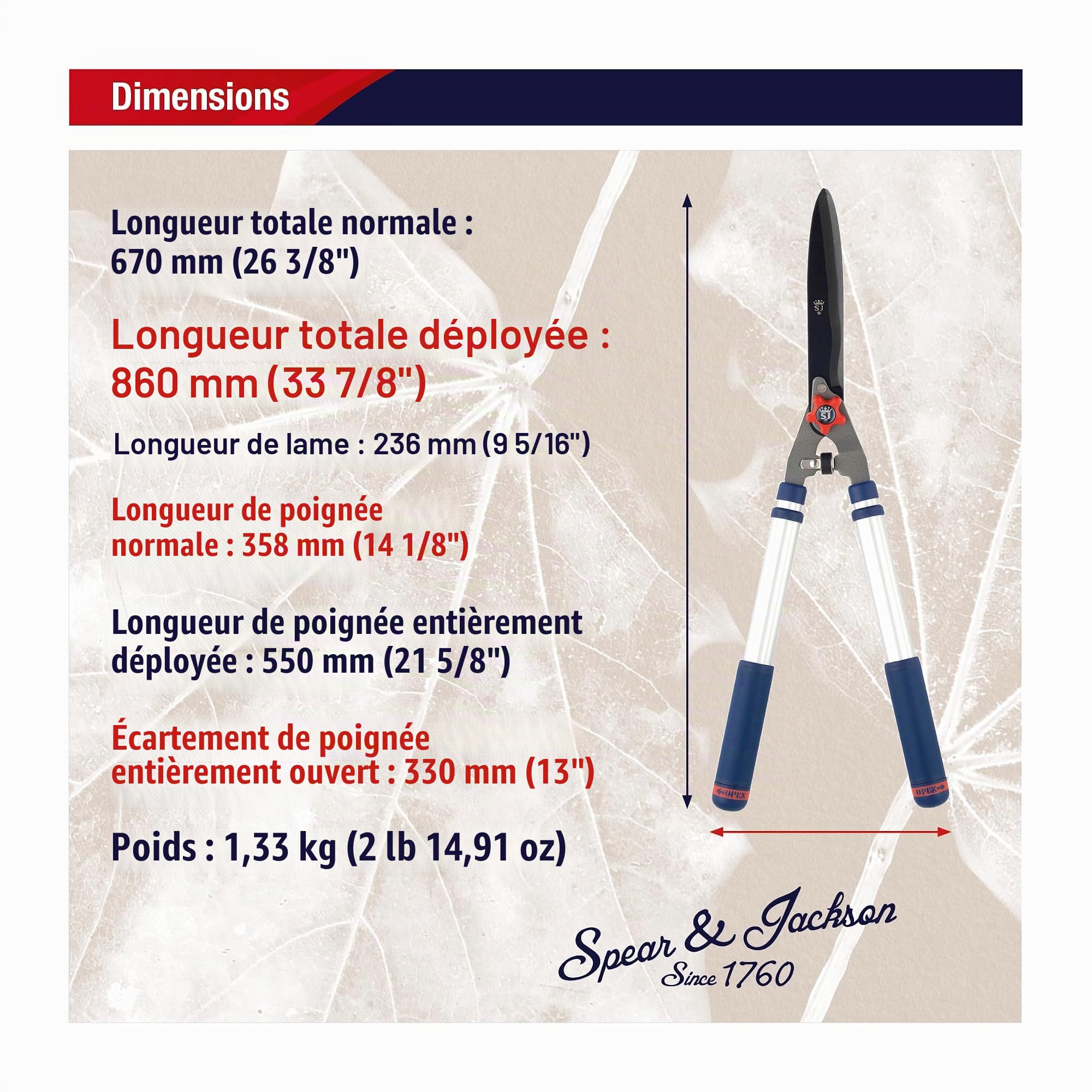 Spear & Jackson 8120RS Cisaille à haie télescopique Razorsharp