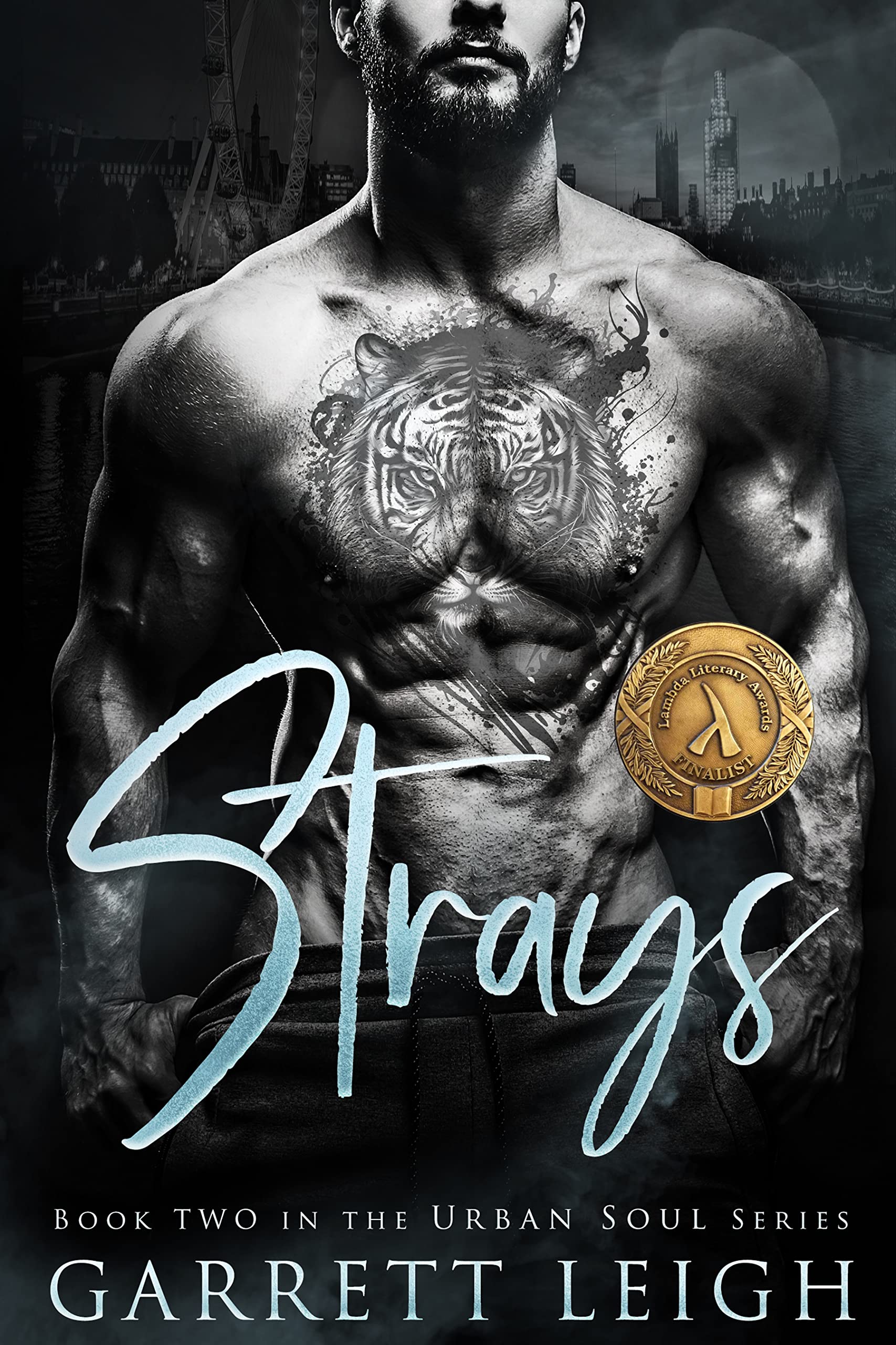 Strays: Angsty Gay Romance (Urban Soul Book 2)