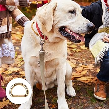 Roosea 40Pcs Anneau En D Anneaux En D Boucle En étal Anneau Sac A Ain