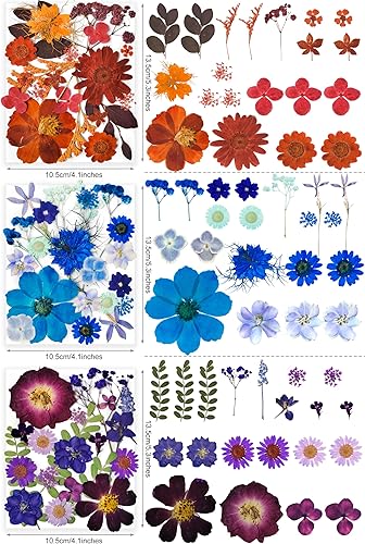 Vista 33 de 26 flores secas prensadas para moldes de resina, flores naturales reales prensadas para manualidades de bricolaje, fabricación de velas, decoración