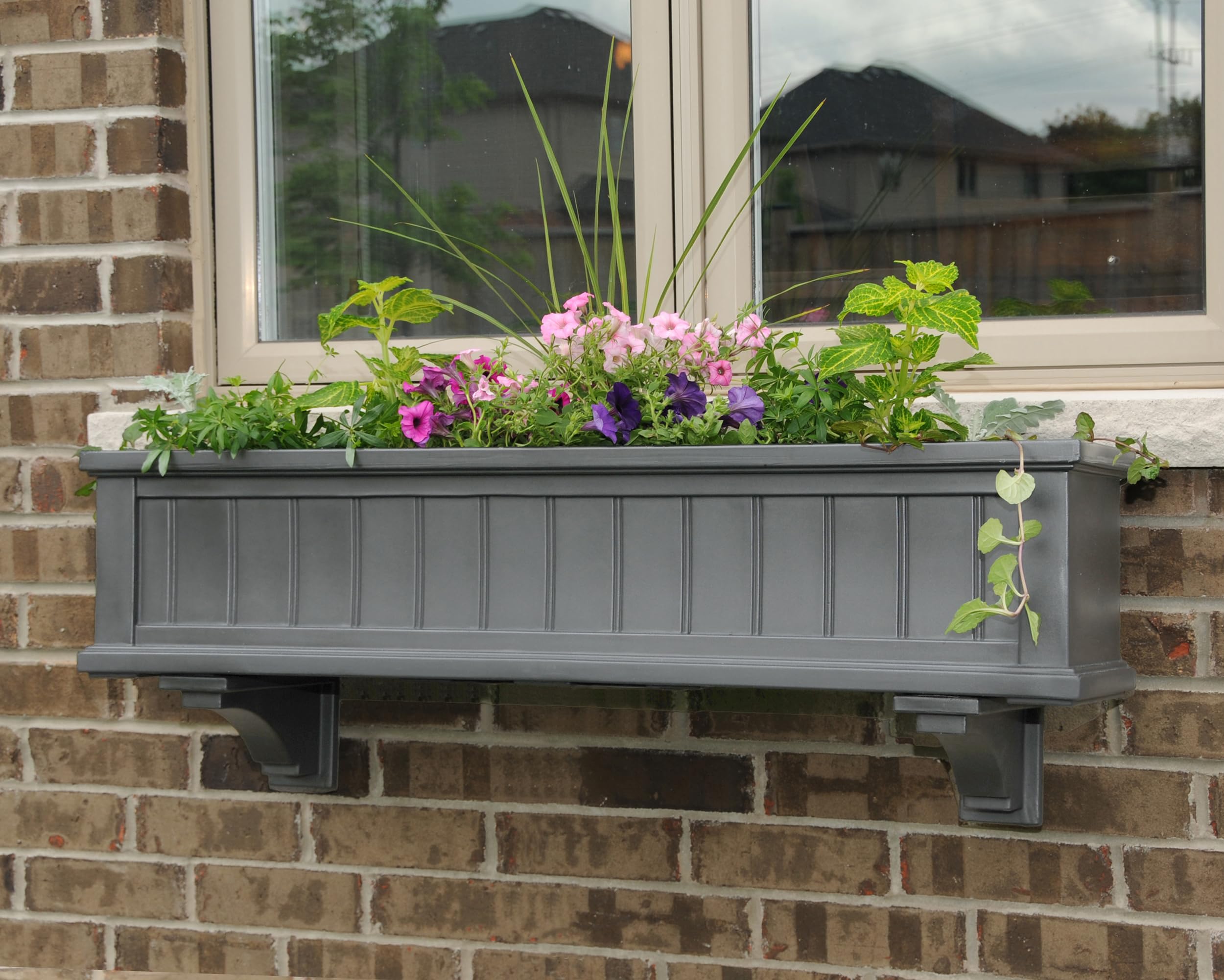 Window Cod's Snapklik.com : Mayne Cape Cod 4ft Window Box - Graphite Grey - 48in X ...