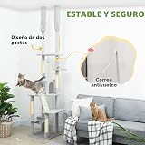 Ver la foto 3