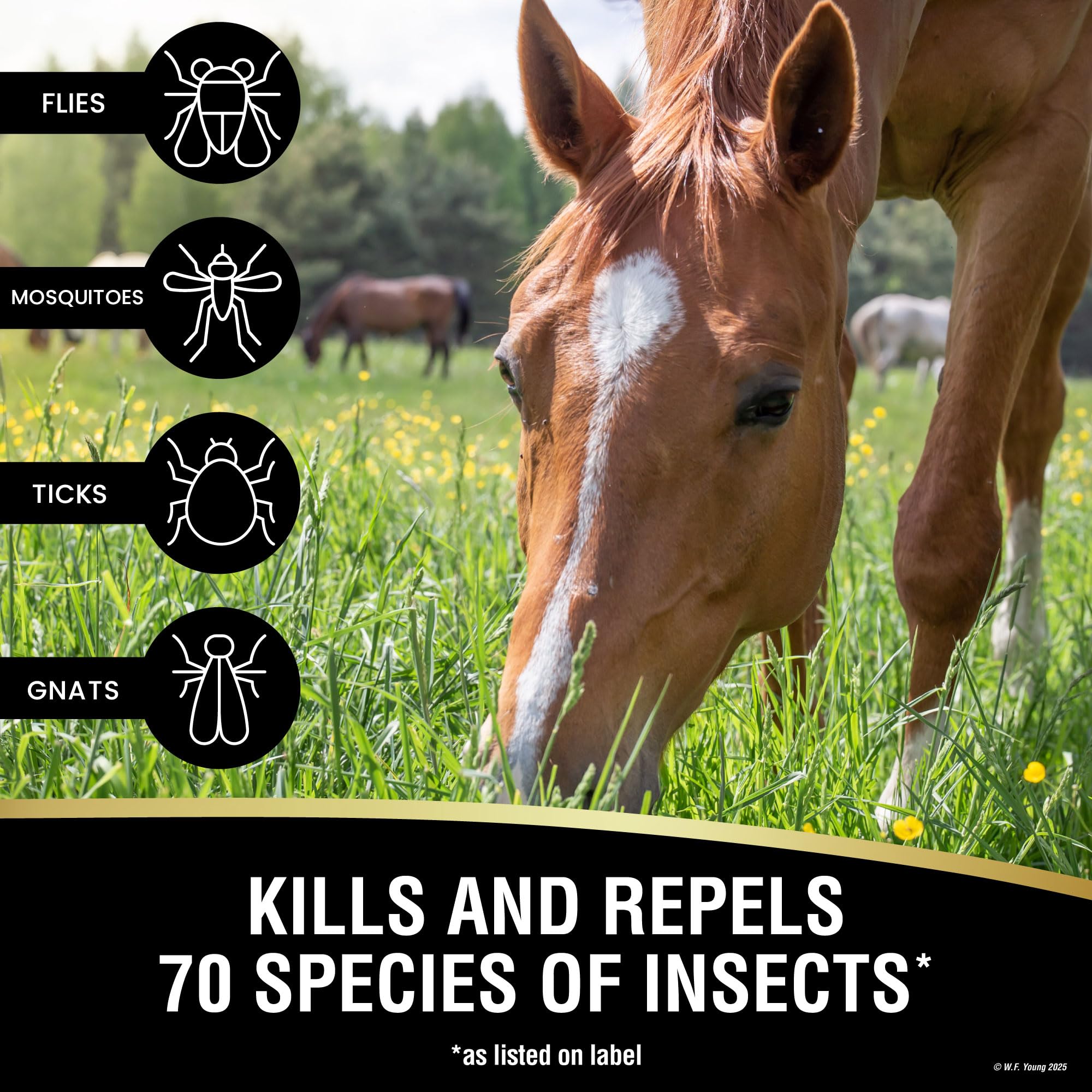 Absorbine UltraShield EX 128oz Insecticide, Kills & Repels Flies, Mosquitoes, Ticks, Fleas, Lice, Use on Horses, Dogs, Premises - image 2
