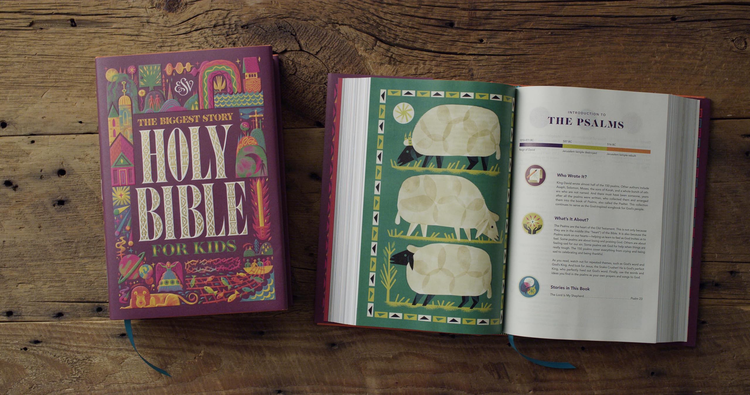 The Biggest Story Holy Bible for Kids