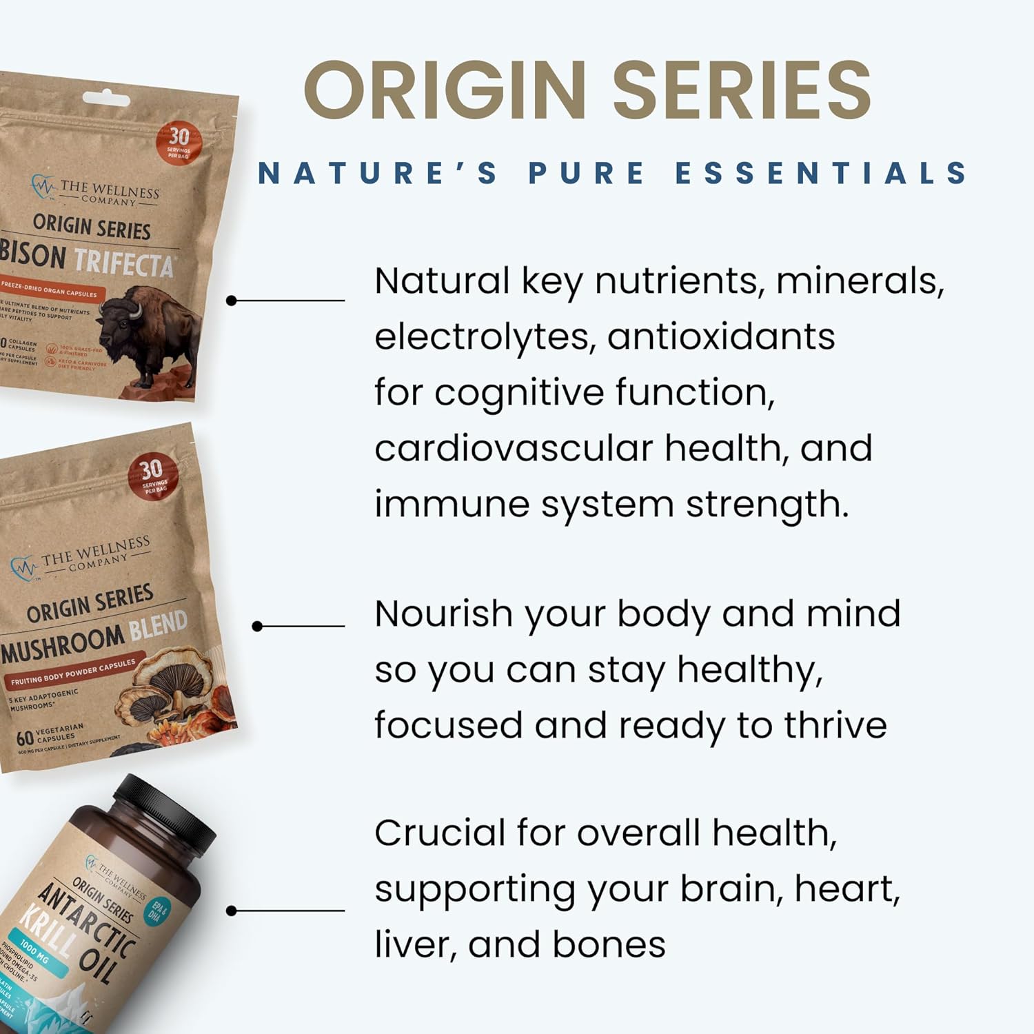 The Wellness Company Mushroom Blend - Cognitive Clarity, Immune Health, Destress - Reishi, Lion's Mane, Turkey Tail, Cordyceps, & Chaga | 60ct (1 Month Supply)