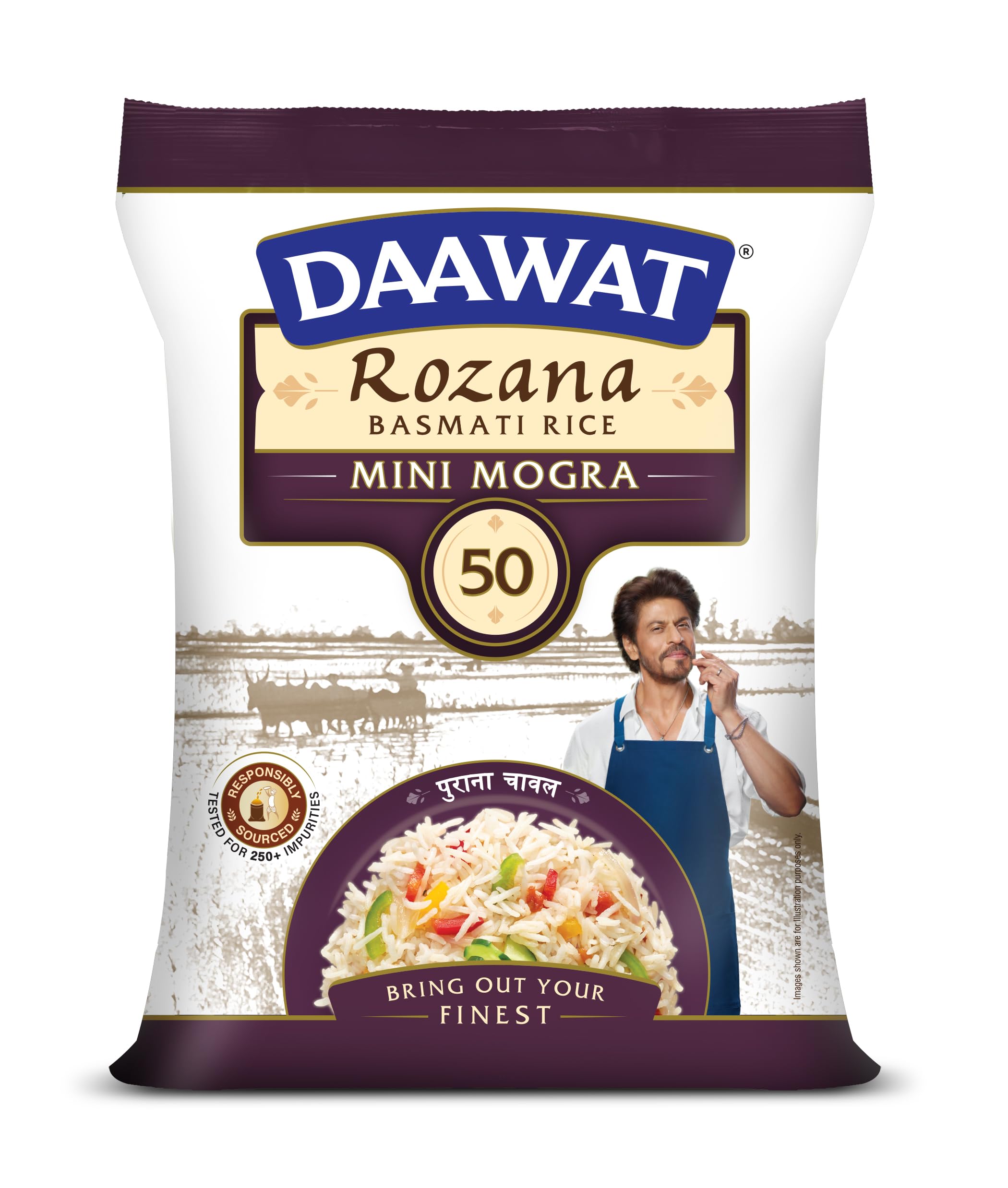DAAWAT ROZANA MINI MOGRA BASMATI RICE, 10KG-picture-11