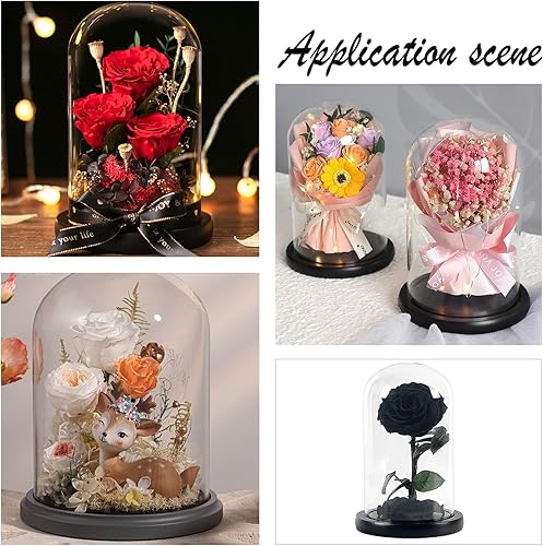 Miniatura 7 de NBEADS Cúpula de cristal con forma de flor eterna, pantalla de cristal con pedestal de madera para el día de San Valentín, Día de la Madre,