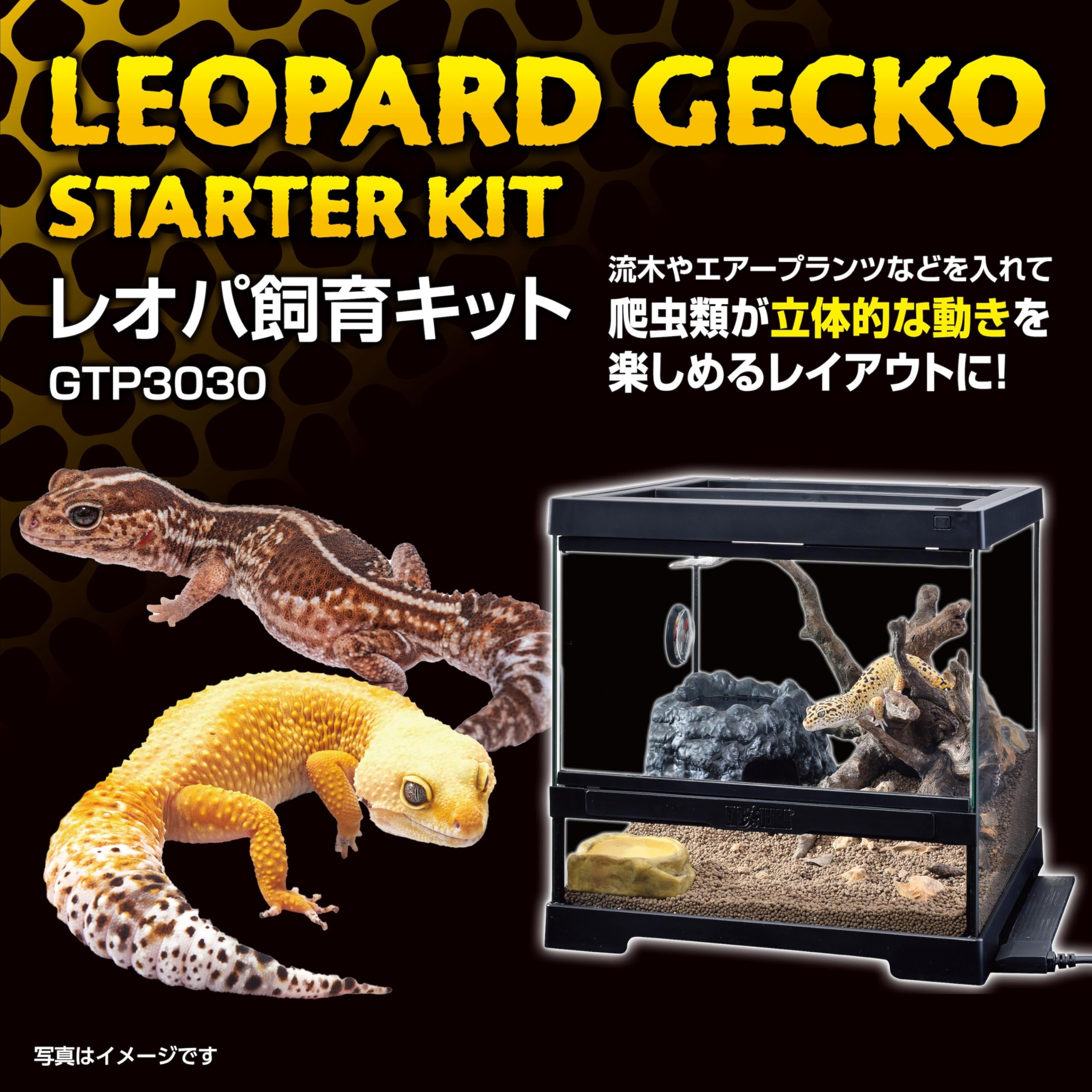 【暖突・ツインメーター付】爬虫類ケージ グラステラリウム3030 セット グラステラリウム3030 エキゾテラ GEX ガラス飼育ケージ 販売 通販