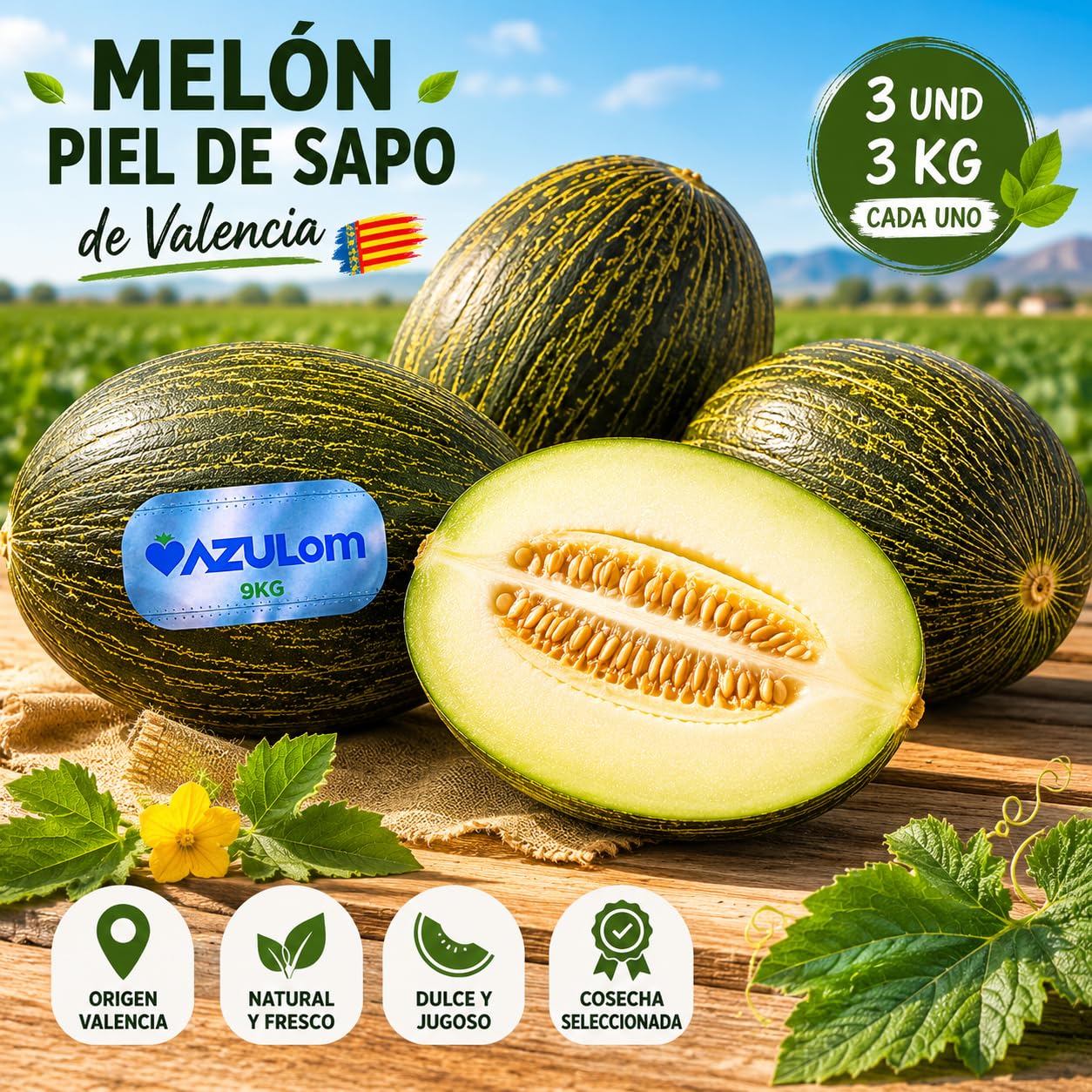 Melón Piel de Sapo Premium de Valencia – Caja 3 Unidades XXL (3 kg aprox. por pieza) – Melón Dulce y Fresco de Origen Español – Fruta Natural Seleccionada