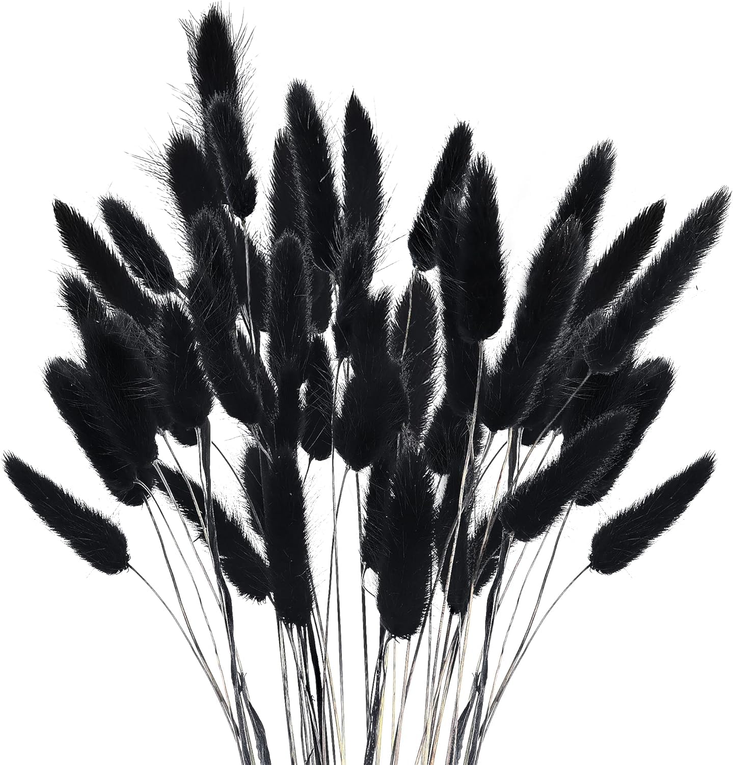 120 Stems Bunny Tails Black Pampas Grass Decor,40cm Rabbit Tails Dried Flowers Bouquet ,Lagurus Ovatus Dried Grass Bouquet (Black)