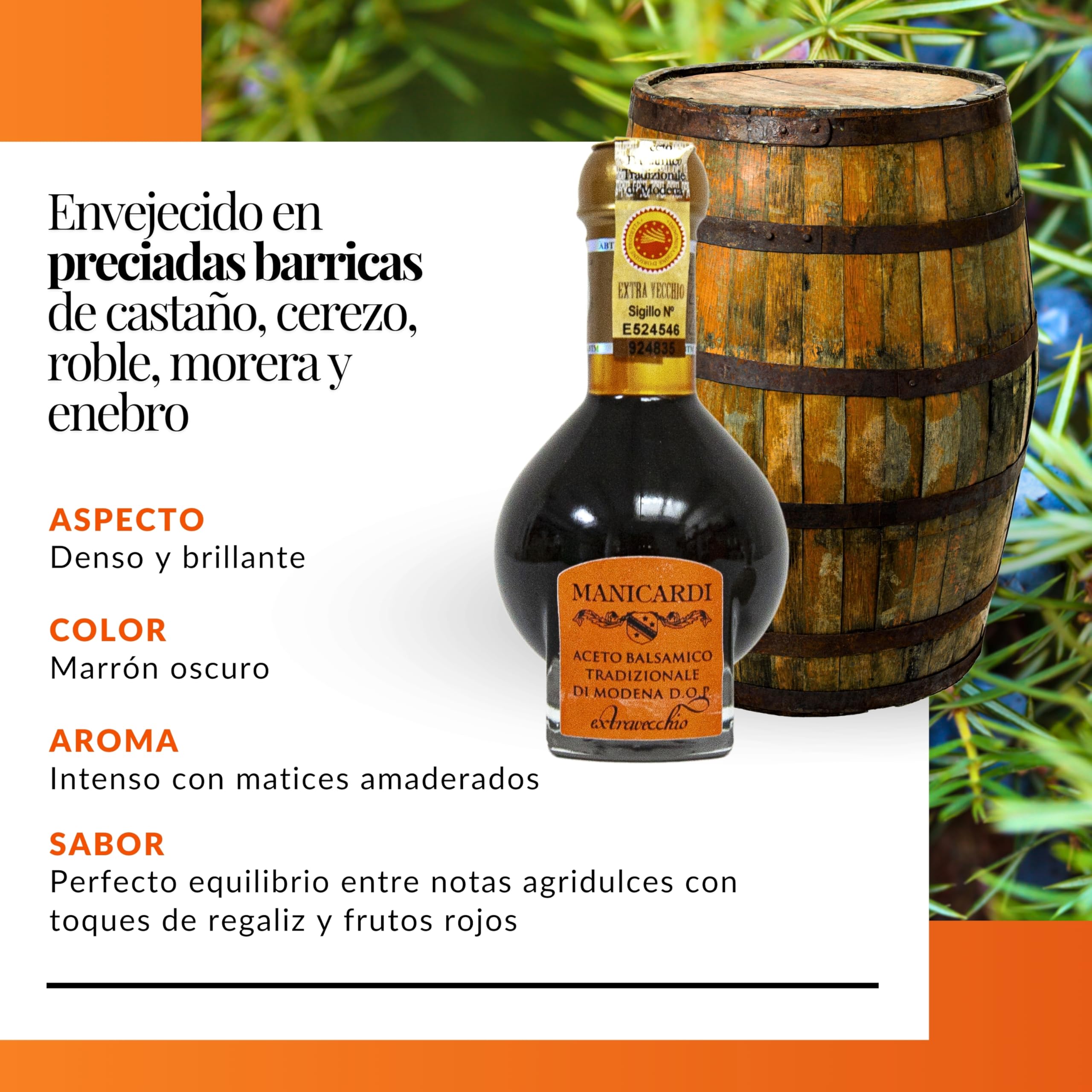 MANICARDI Vinagre Balsámico Tradicional de Módena DOP Extravejo – Envejecido 25 Años, Perfecto para Snacks, Pasta, Verduras, Aderezos para Ensalada y Carne – Producto en Italia, 100 ml
