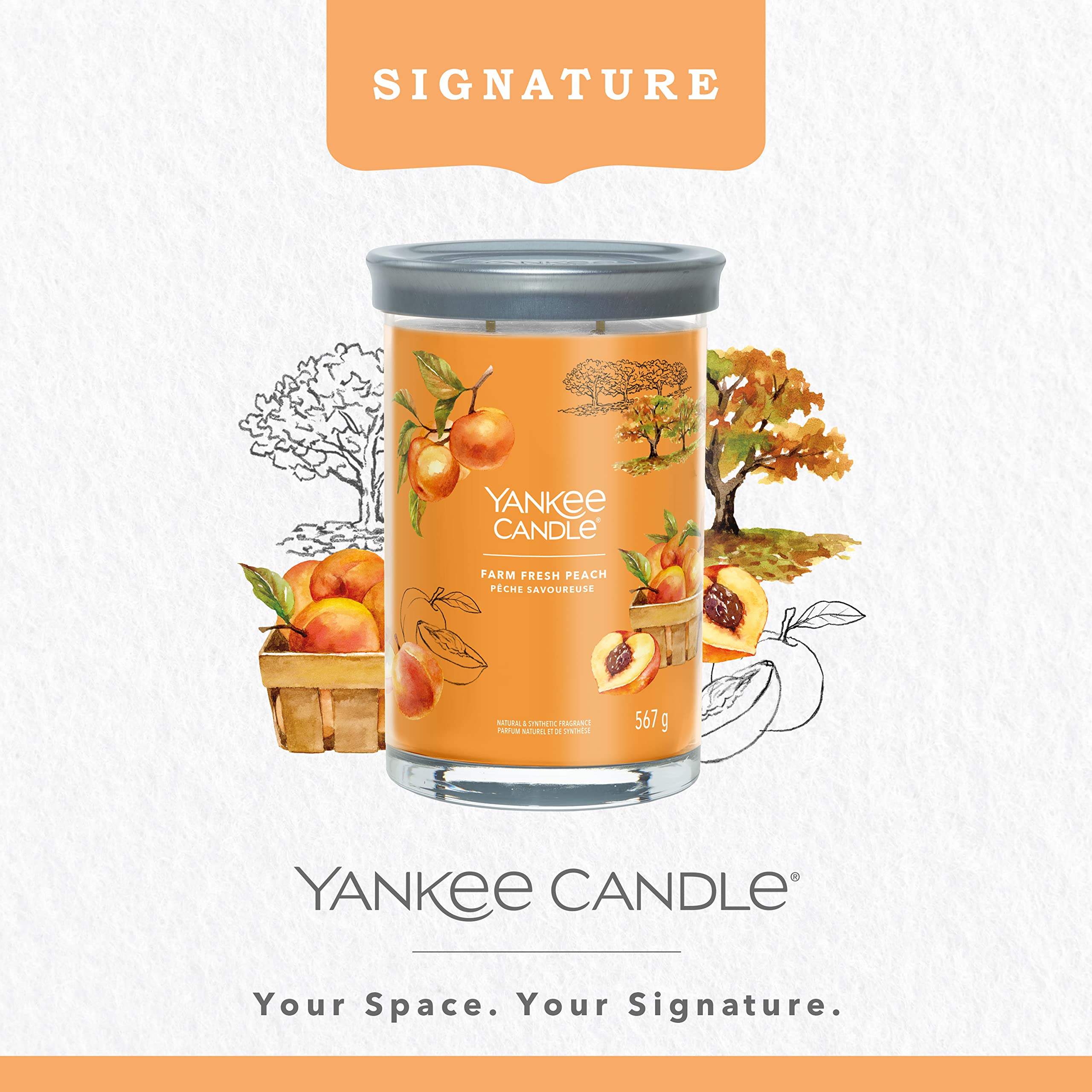 Yankee Candle Summit Stargazing geurkaars Signature