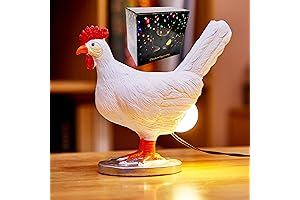 Chicken Egg Lamp: A Delightful Easter or Christmas Gift