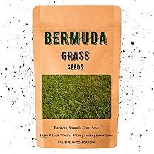 American Bermuda Grass Seeds for Lawn, Turf, Cricket Ground, Stadium, Park, Farmhouse, Sports Field, Garden Grass, Fast Growing, Green Grass, Gardening Seeds | Free Growing Guide | (10 Gram)