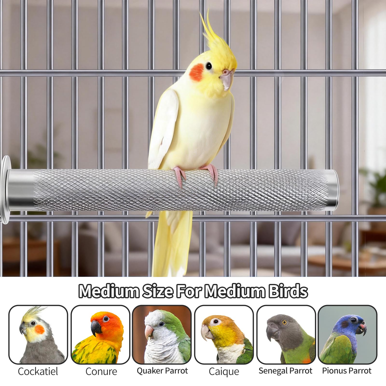 AOTU Percha grande de acero inoxidable para loros, soporte para pájaros, para jaula, percha duradera para cortar picos y garras para pájaros, accesorio de jaula de loro (L: 30 x 3 cm)