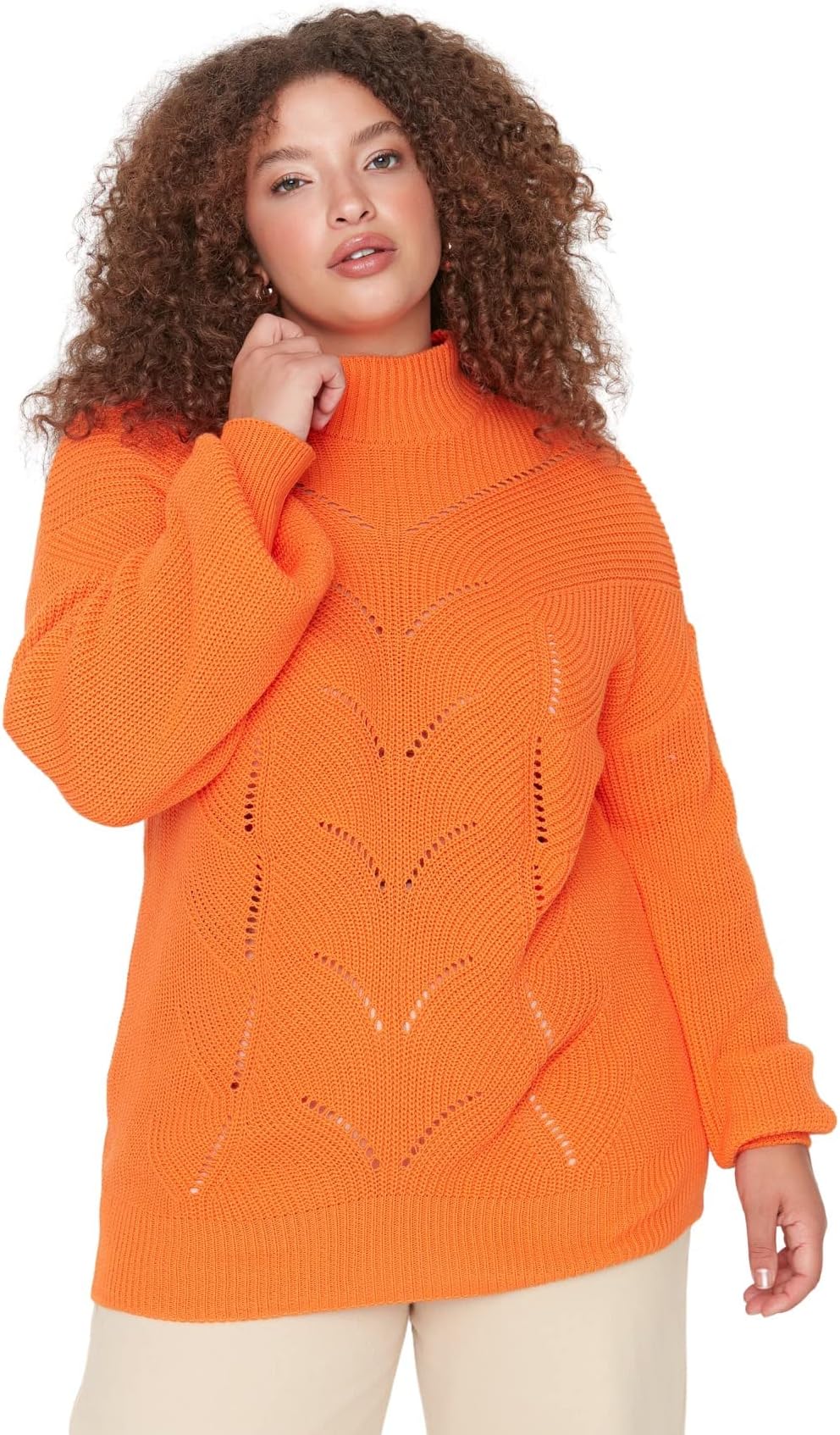 Trendyolwomens Crew neck Ajouré Regular Plus Size Sweater Sweater (pack of 1)