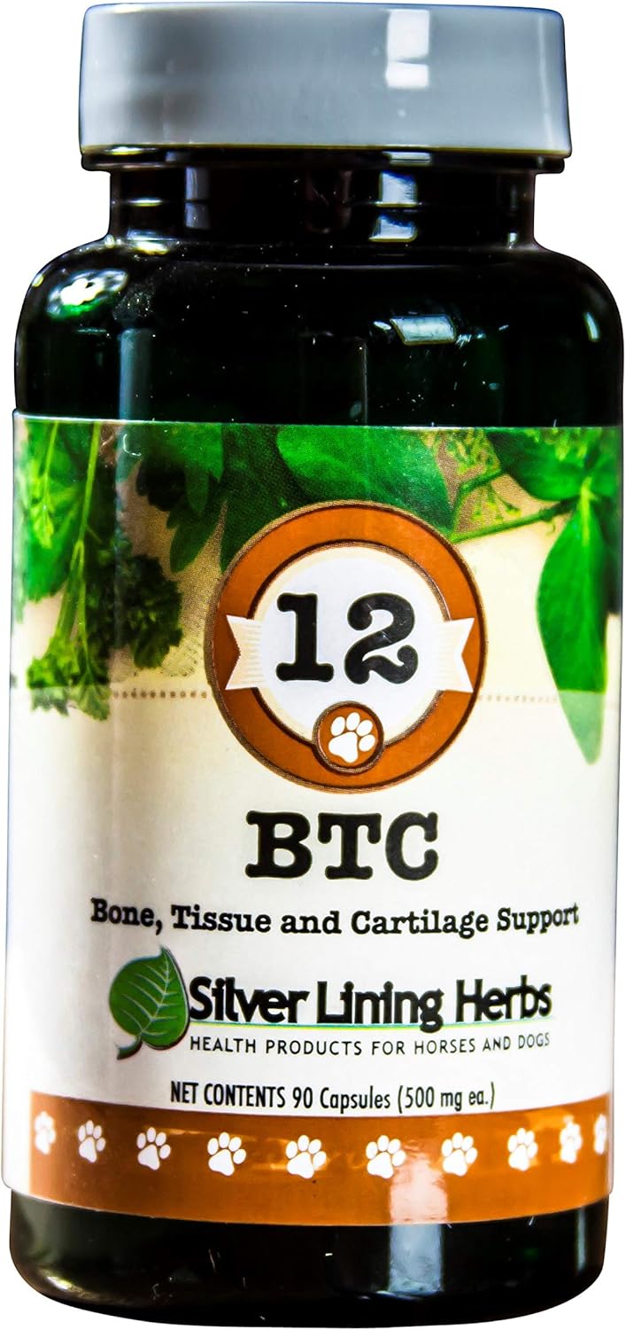 Silver Lining Herbs 12 Bone Tissue and Cartilage - Natural Herbal Support for Dog's Structural System - Maintains Canine Mobility, Flexibility and Vitality - 90 Capsules