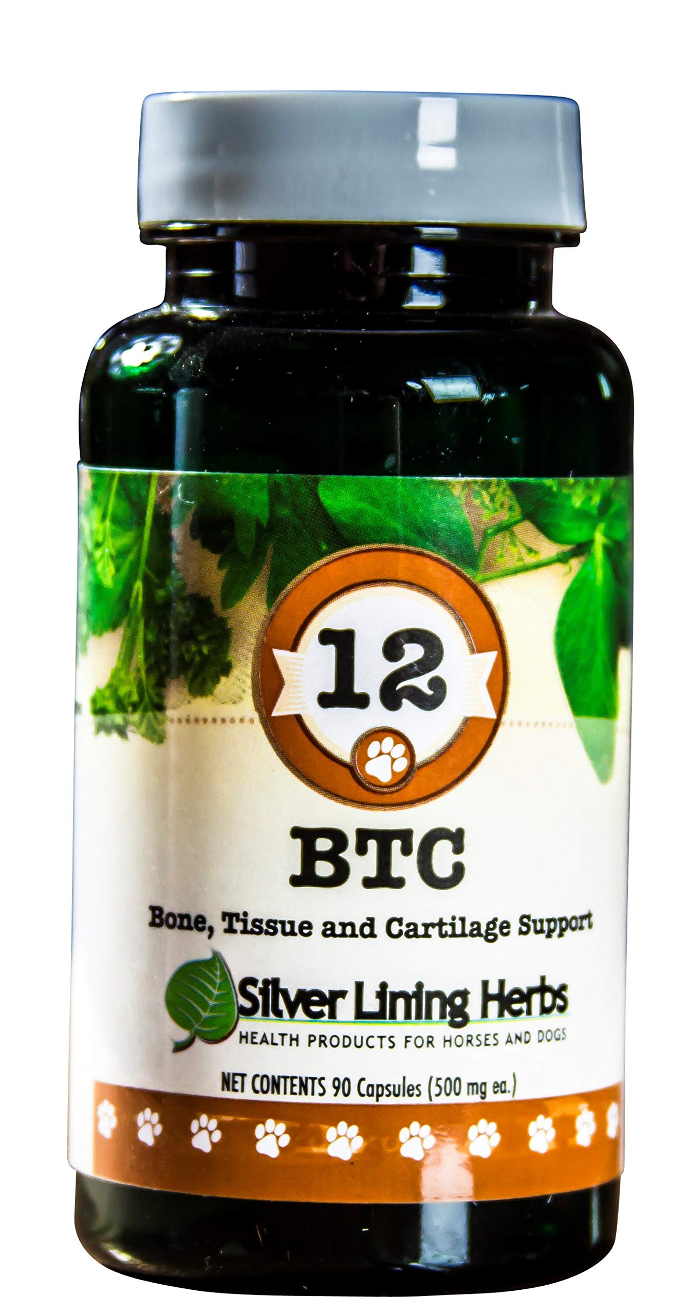 Silver Lining Herbs 12 Bone Tissue and Cartilage - Natural Herbal Support for Dog's Structural System - Maintains Canine Mobility, Flexibility and Vitality - 90 Capsules