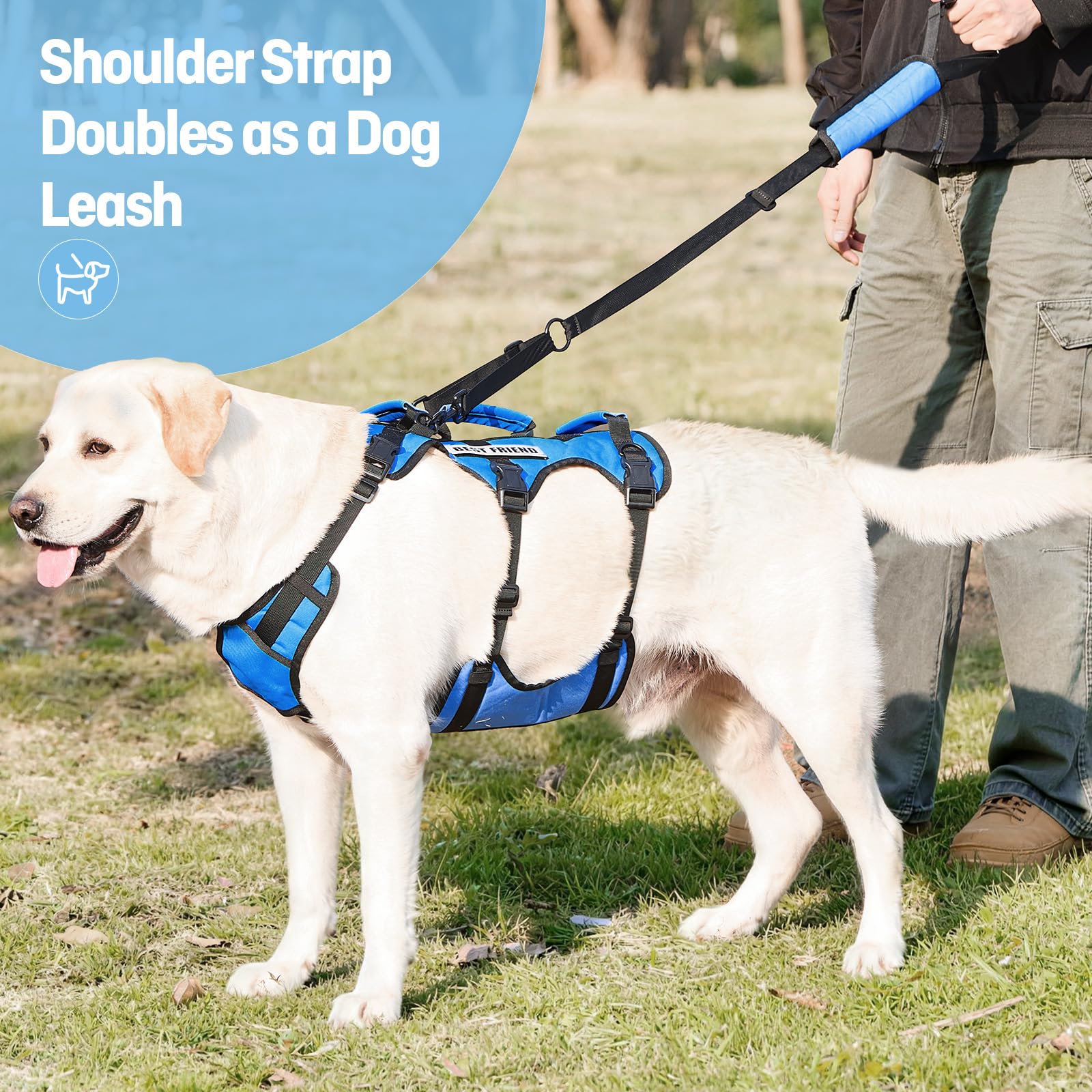 Harnais de Levage pour Grand Chien, Harnais de Soutien Complet avec 3 poignées et Sangle d’épaule, Aide à la Marche pour Chiens Seniors avec arthrite, Aide escaliers, Bleu, XL