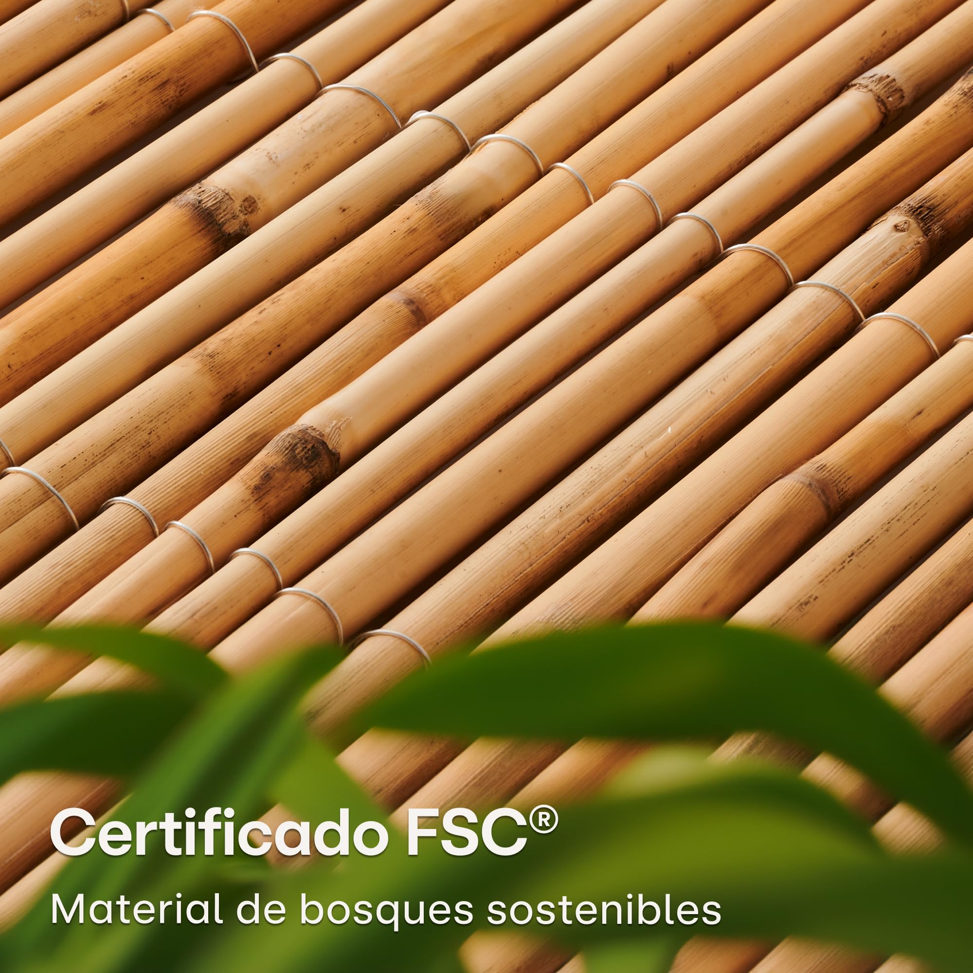 Praknu Cañizo Jardin Ocultacion 1x3 m- FSC® Certificado, Junco Natural - Versátil Uso en Interiores y Exteriores Balcones y Jardines - 100 x 300cm