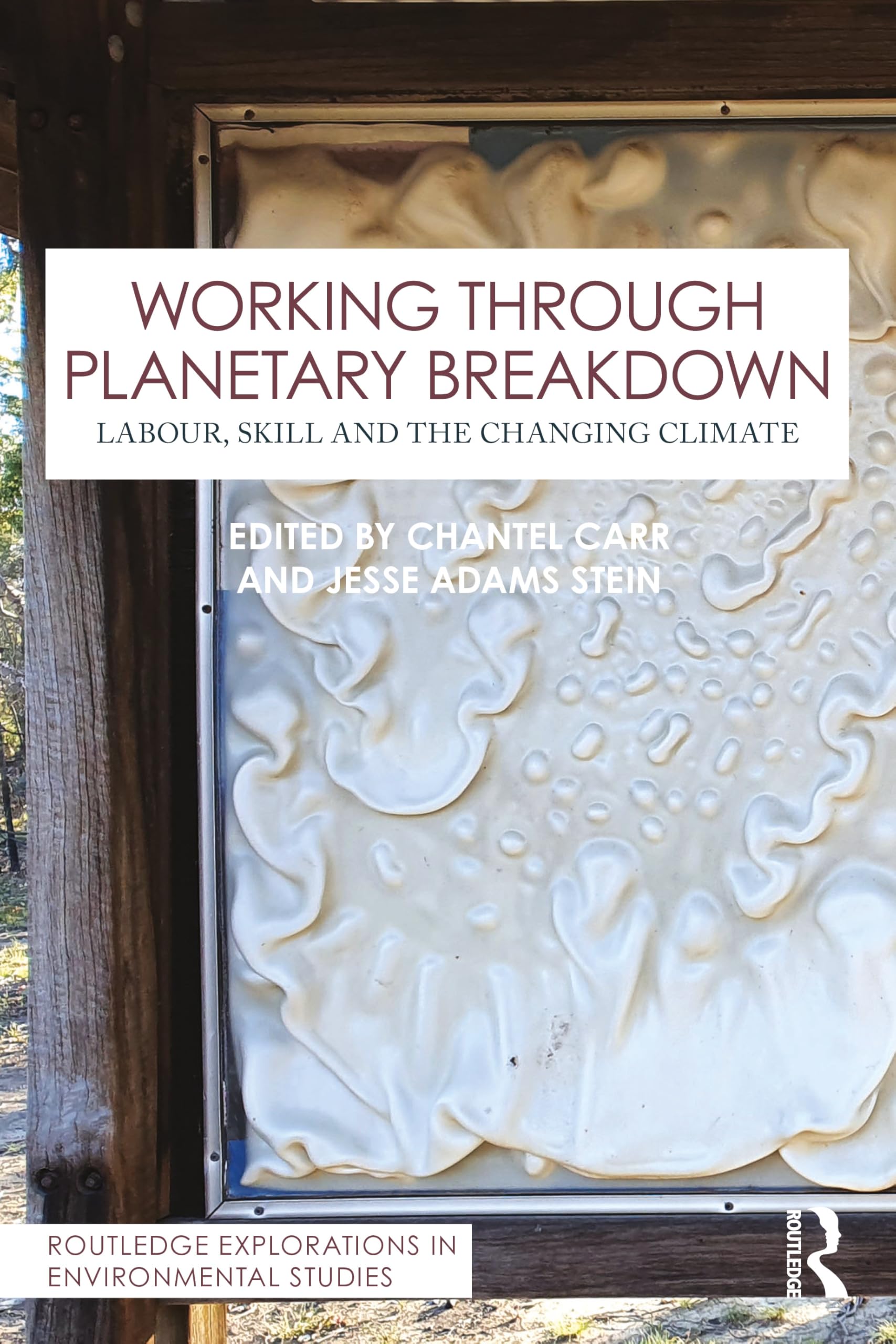 Working Through Planetary Breakdown: Labour, Skill and the Changing Climate (Routledge Explorations in Environmental Studies)