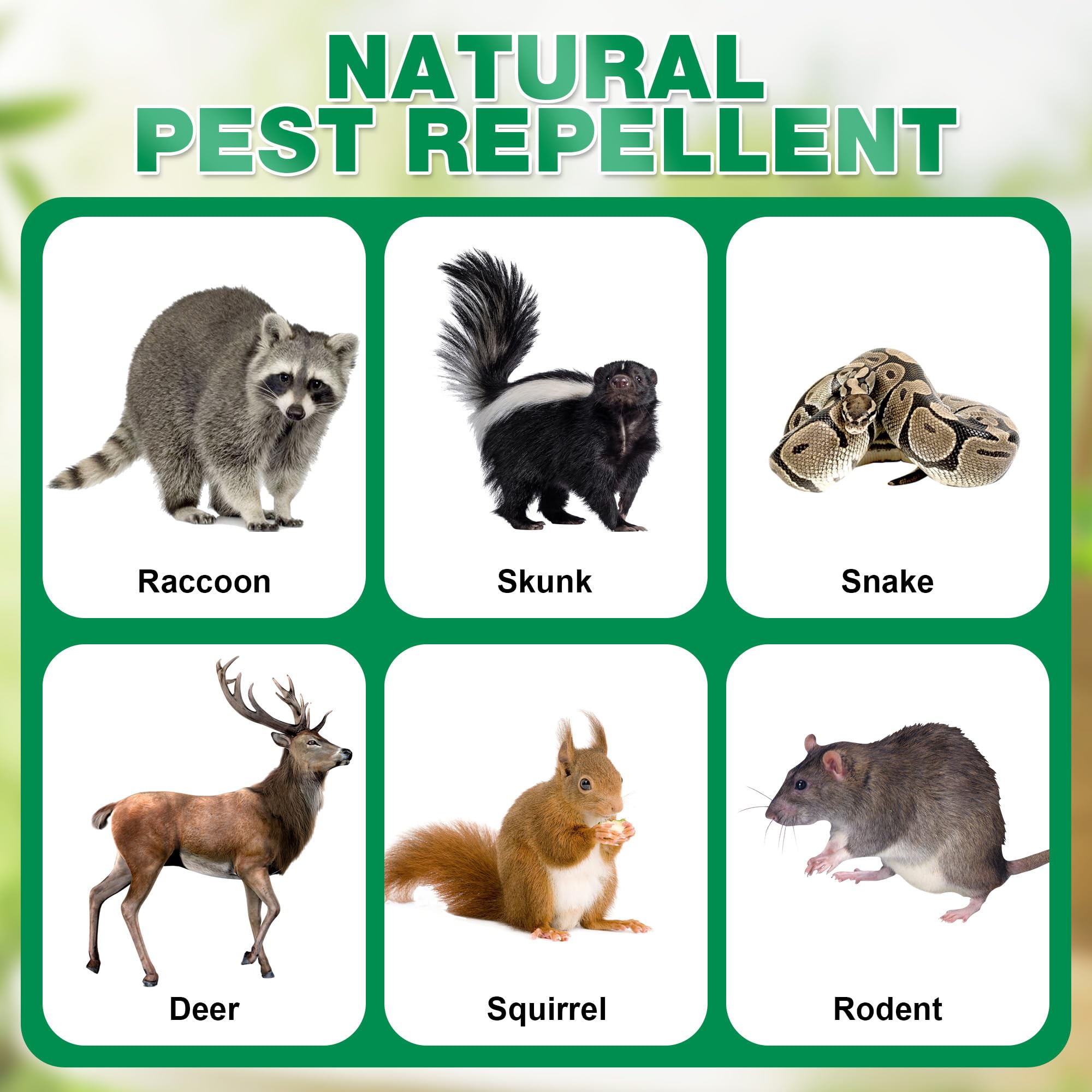 Confezione da 48 repellenti per skunk per cortile, olio di menta piperita naturale, deterrente per procioni, per esterni, patio, giardino, veranda, fattoria, animali domestici e umani, giallo