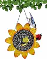 ミッドナイトsetup【 organic zoo 】 Amazon.com : Gift Essentials Gift Essentials Sunflower with