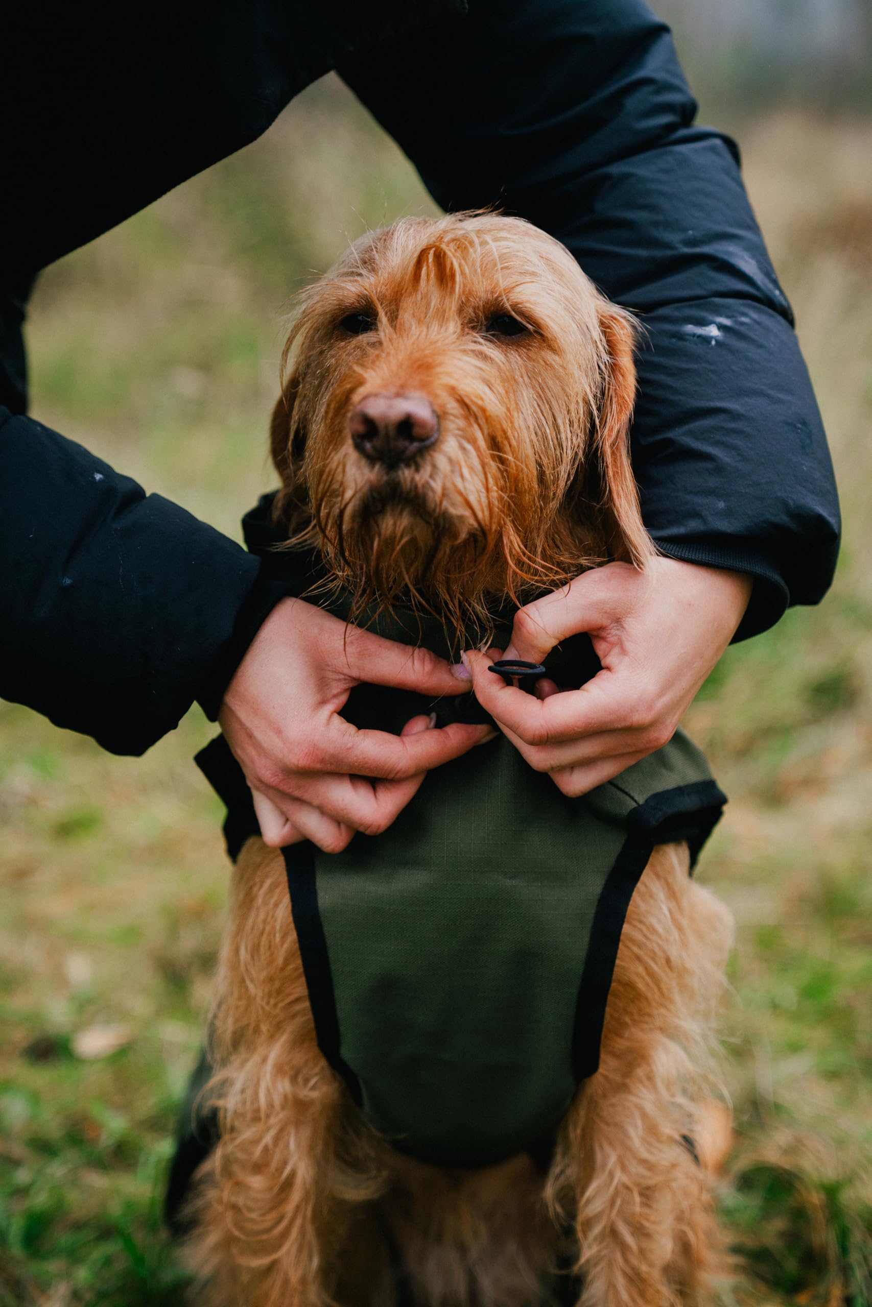 Danish Design 3-in-1-Hundemantel, 57 cm, für jedes Wetter, mit Fleece gefüttert, reflektierender Regenmantel für Hunde, Olivgrün