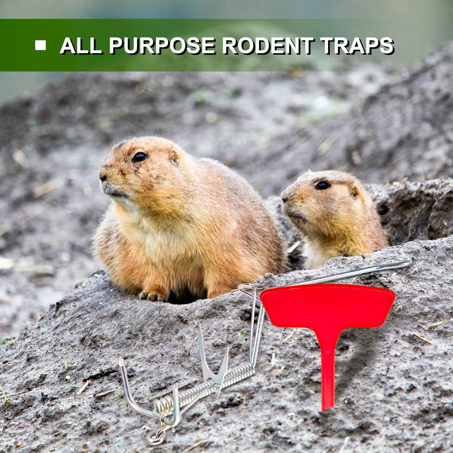 Qualirey 6 Pcs Mole Trap Pocket Mole Traps with 6 Plastic Marker Signs for Outdoor Lawn Trapping Kill Animal Ground, 9.84 x 2.95 x 2.76 Inches, Silver