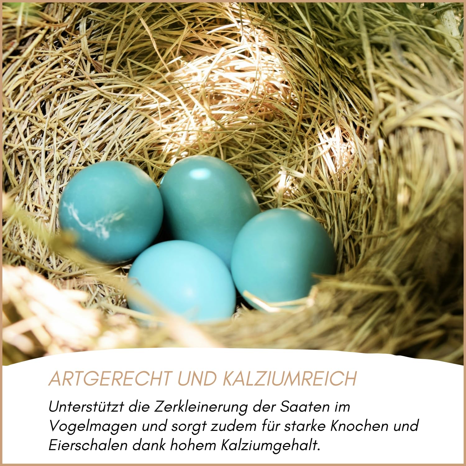 Supravit Vogelgrit 4kg – Grit für Vögel & Geflügel – Mineralgrit mit Calcium für Wellensittiche, Papageien, Nymphensittiche, Tauben & Hühner – Verdauungshilfe & Ergänzungsfutter