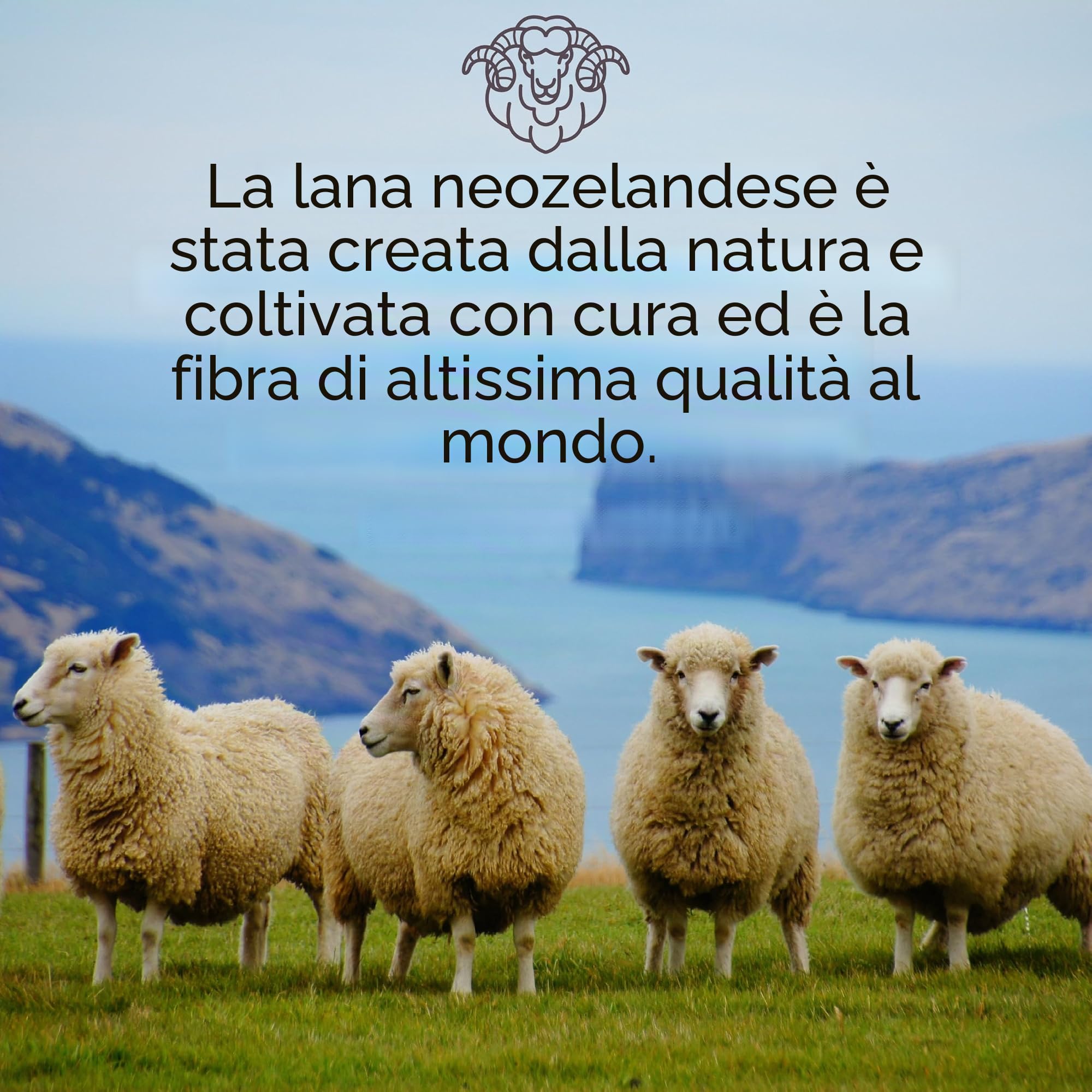 PinkZebra Caldissima coperta di lana spessa 400 g/m² in 100% pura lana merino naturale della Nuova Zelanda, coperta coccolosa, copriletto 160 x 200 cm, da soggiorno, da divano, con frange, grigio