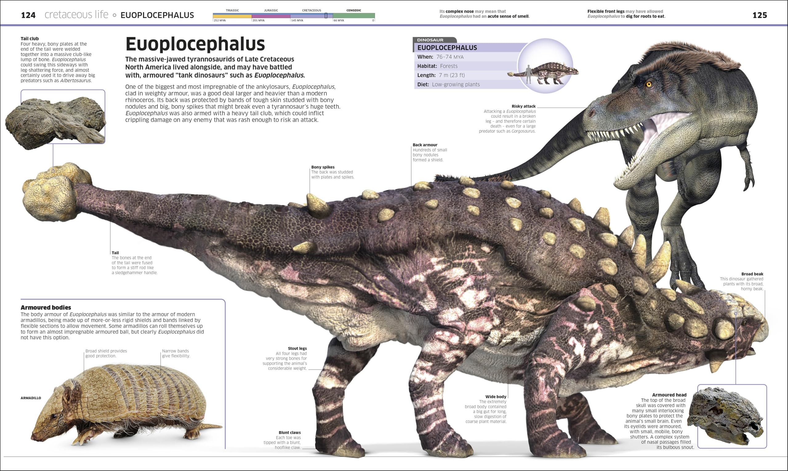 Knowledge Encyclopedia Dinosaur!: Over 60 Prehistoric Creatures as You've Never Seen Them Before (New Edition) (DK Knowledge Encyclopedias)