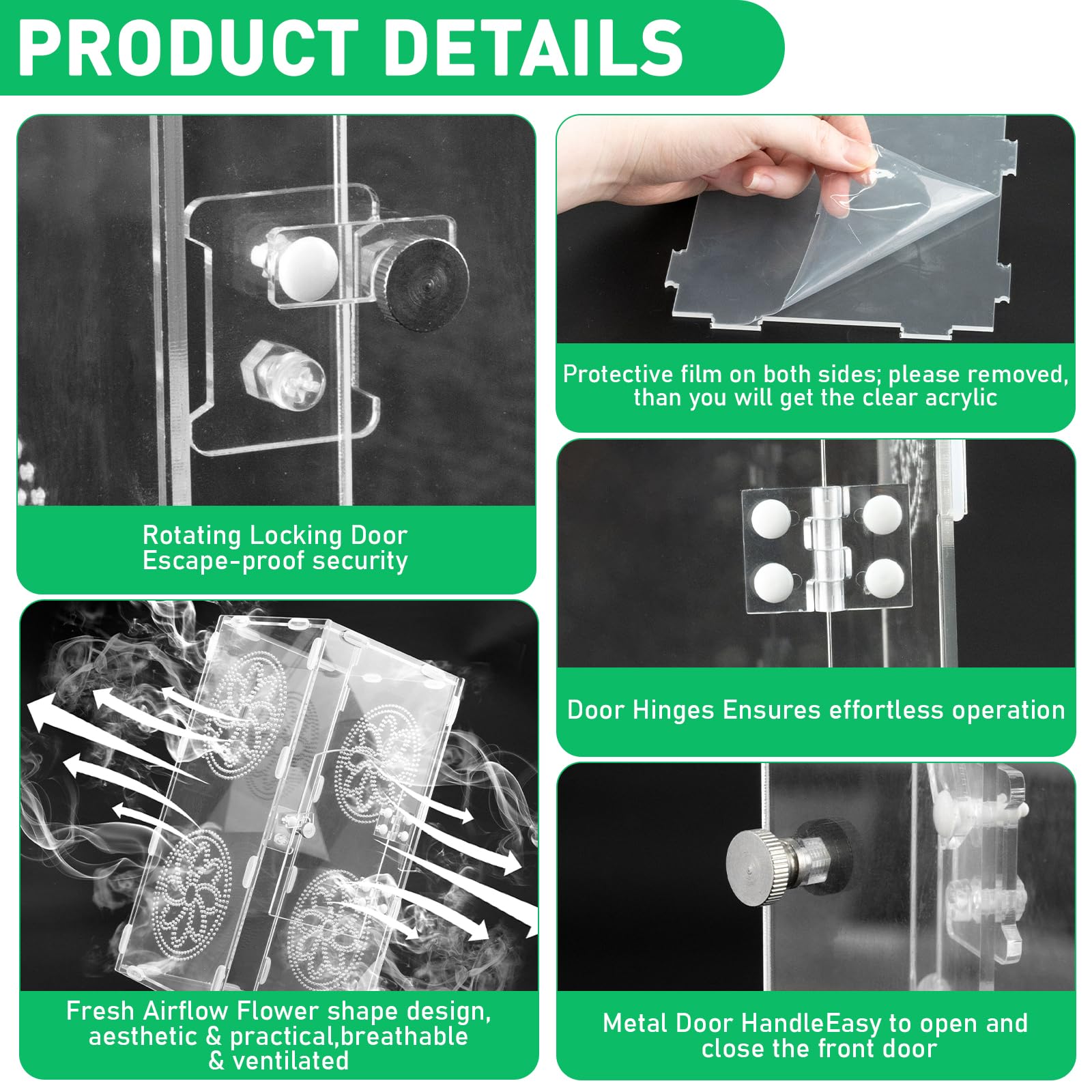 DARENYI Acryl Reptil Terrarium, 30 x 15 x 14cm 360° Transparente Faunabox Enthält Pinzette, Atmungsaktiv Reptilien Aufzuchtbox, Reptilien Fütterungsbox für Springspinne, Eidechsen, Schnecken, Insekten - 5
