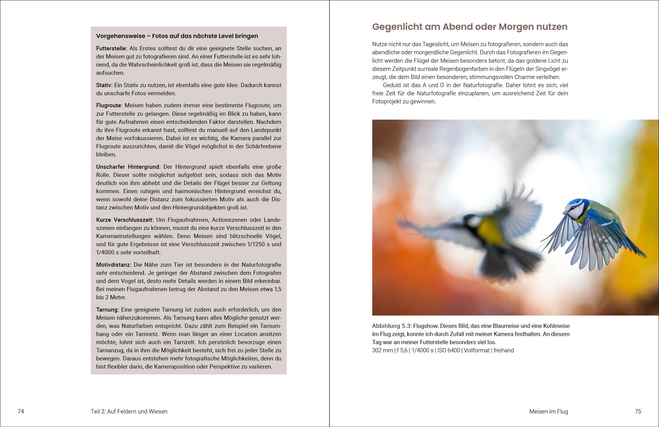 Naturfotografie für Jugendliche: Entdecke die Schönheit der Natur mit der Kamera