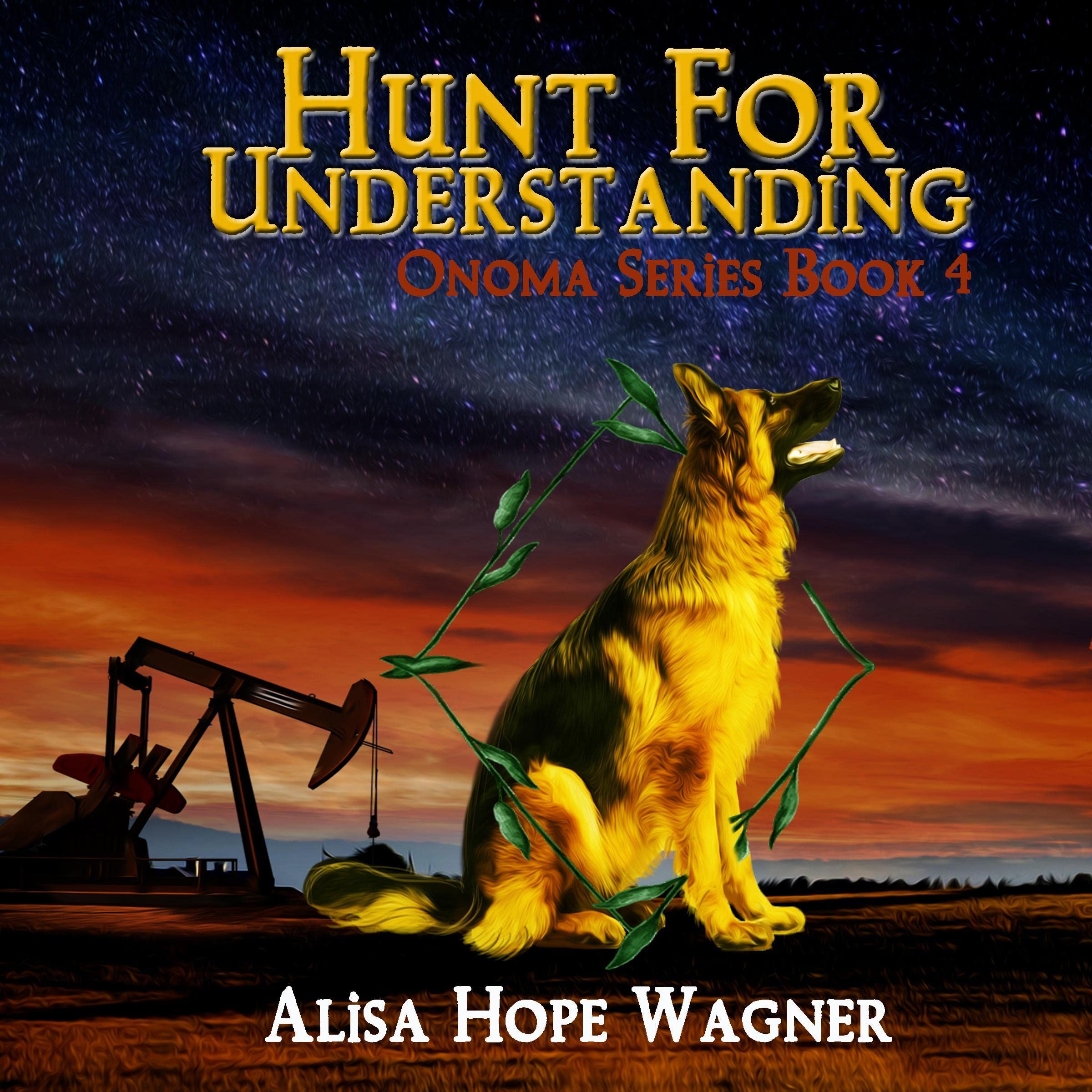 Cover art for Hunt for Understanding