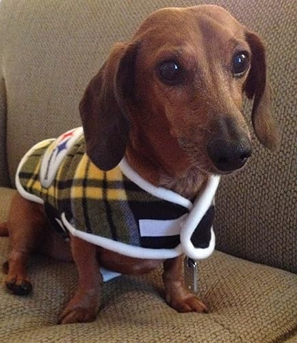 Steelers dog jacket Clearance