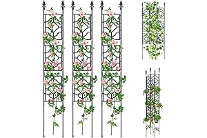 Narrow Trellis for Climbing Plants Outdoor
