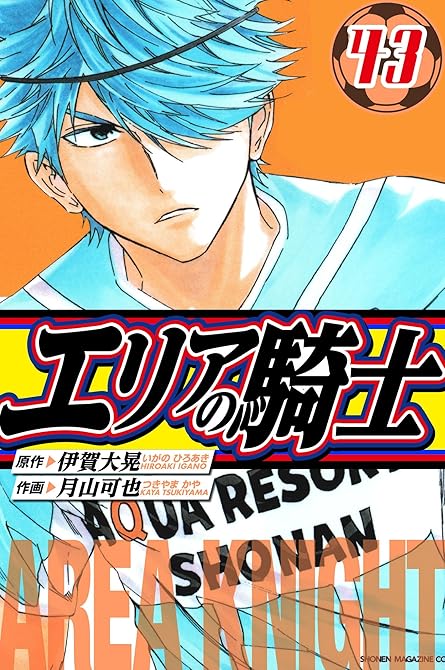 『エリアの騎士　愛蔵版　43』の表紙イラスト 電子書籍 漫画
