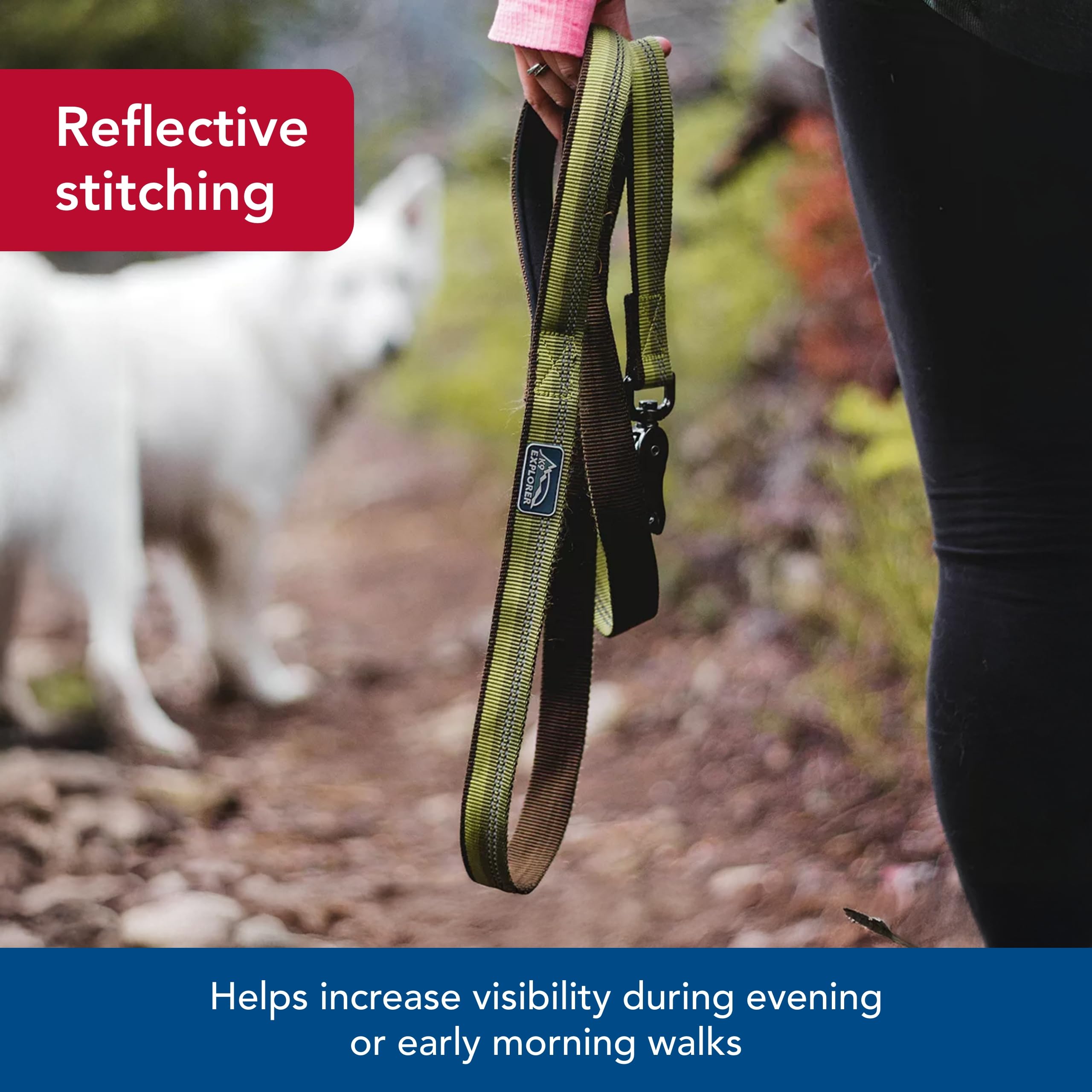 Amazon.com : Coastal Pet K9 Explorer Reflective Dog Leash with