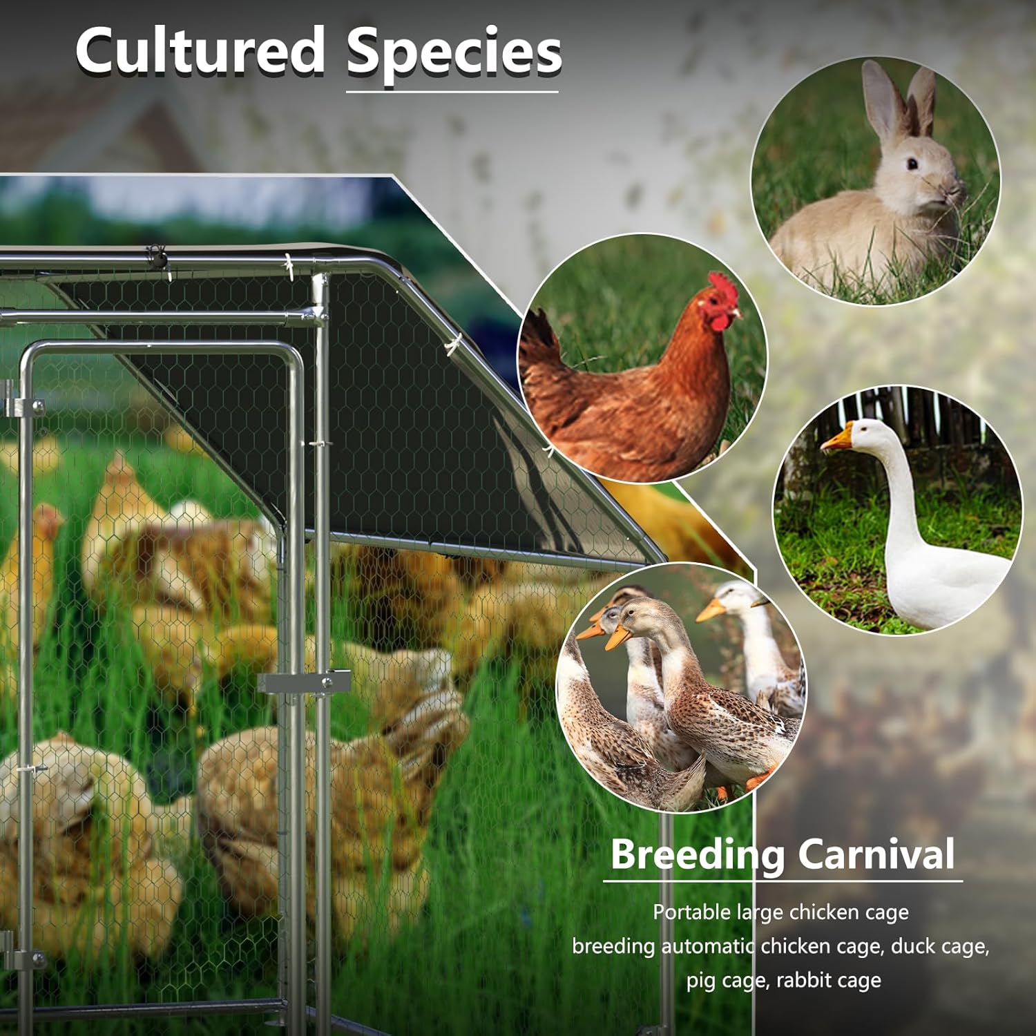 Image showing various animals like chickens, ducks, geese, and rabbits, indicating the coop's versatility for different species.