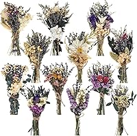 Layhit 12 Pack Boho Mini Dried Flower Bouquets - Handmade Natural Dry Flowers for Wedding Decor, Vase Crafts, Bridesmaid Gifts & Birthday Bouquets