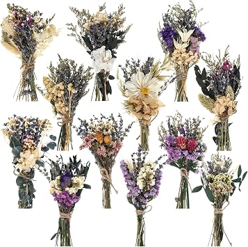Layhit 12 Pcs Boho Dried Flower Bouquet Mini Wedding Handmade Dry Flowers Decor for Vase Crafts DIY Photo Boutonniere for Men Floral Plant for Bridesmaid Gift Birthday DecorRomantic