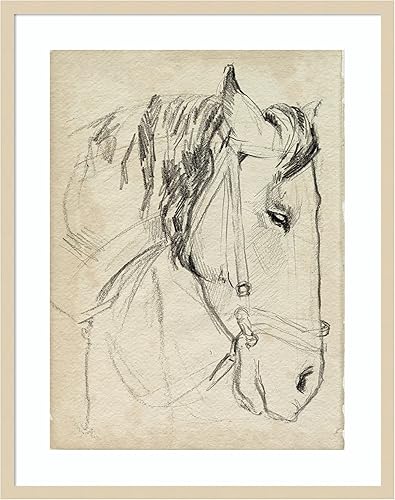 Miniatura 11 de Amanti Art Impresión artística enmarcada para pared, diseño de caballo en brida, de 25 x 21 pulgadas, por Jennifer Paxton Parker, arte de pared de