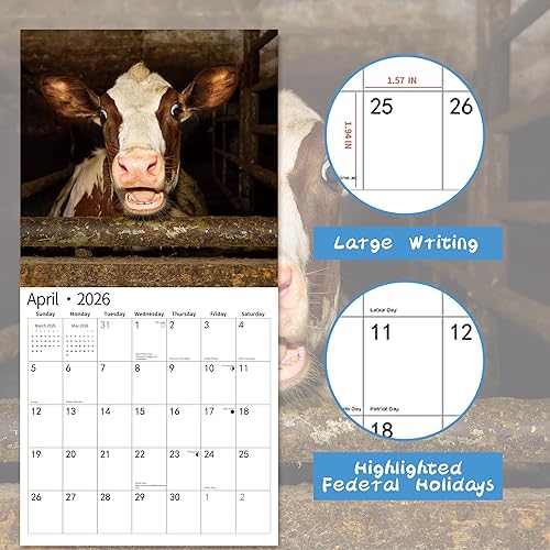 Miniatura 3 de Calendario de pared 2026, calendario divertido 2026, noviembre de 2025 a diciembre de 2026, calendario de pared divertidos memes de animales, 12 x